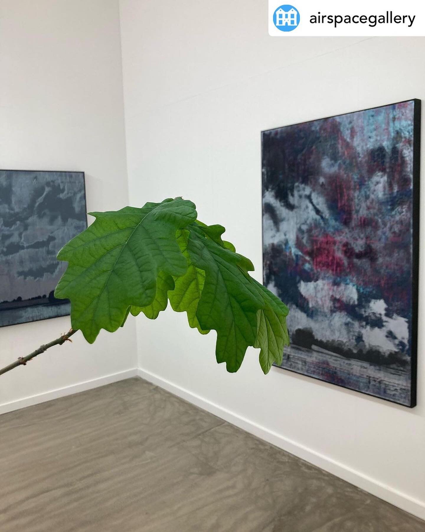 Reposting @airspacegallery It&rsquo;s the last week of @harryadamsofficial Collider Part 4 - come and see these wonderful paintings and their arboreal partners - 12-5 all week until. Sunday 10th