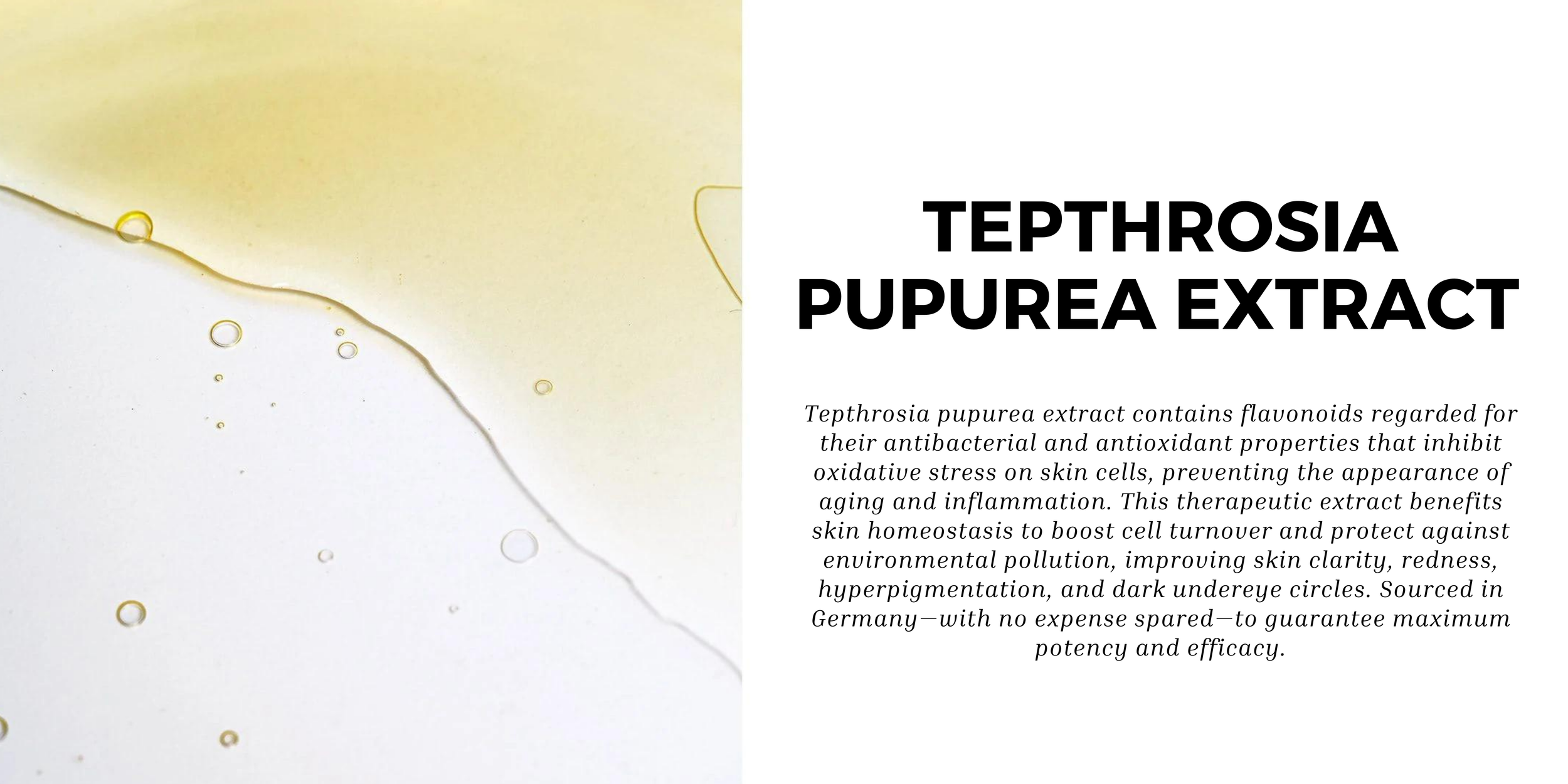 Tepthrosia pupurea extract .png