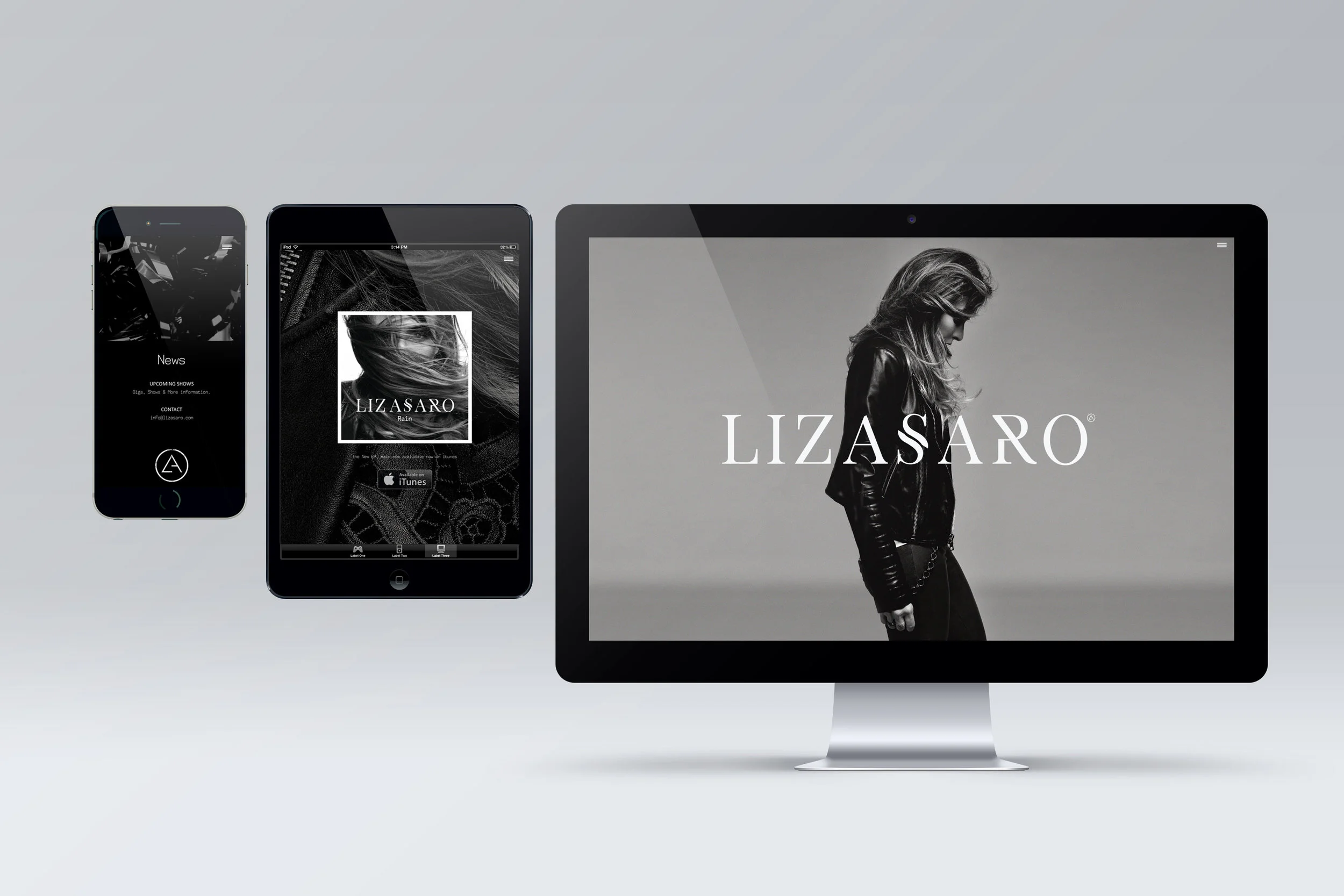 Liz Asaro_Website_alldevices .jpg
