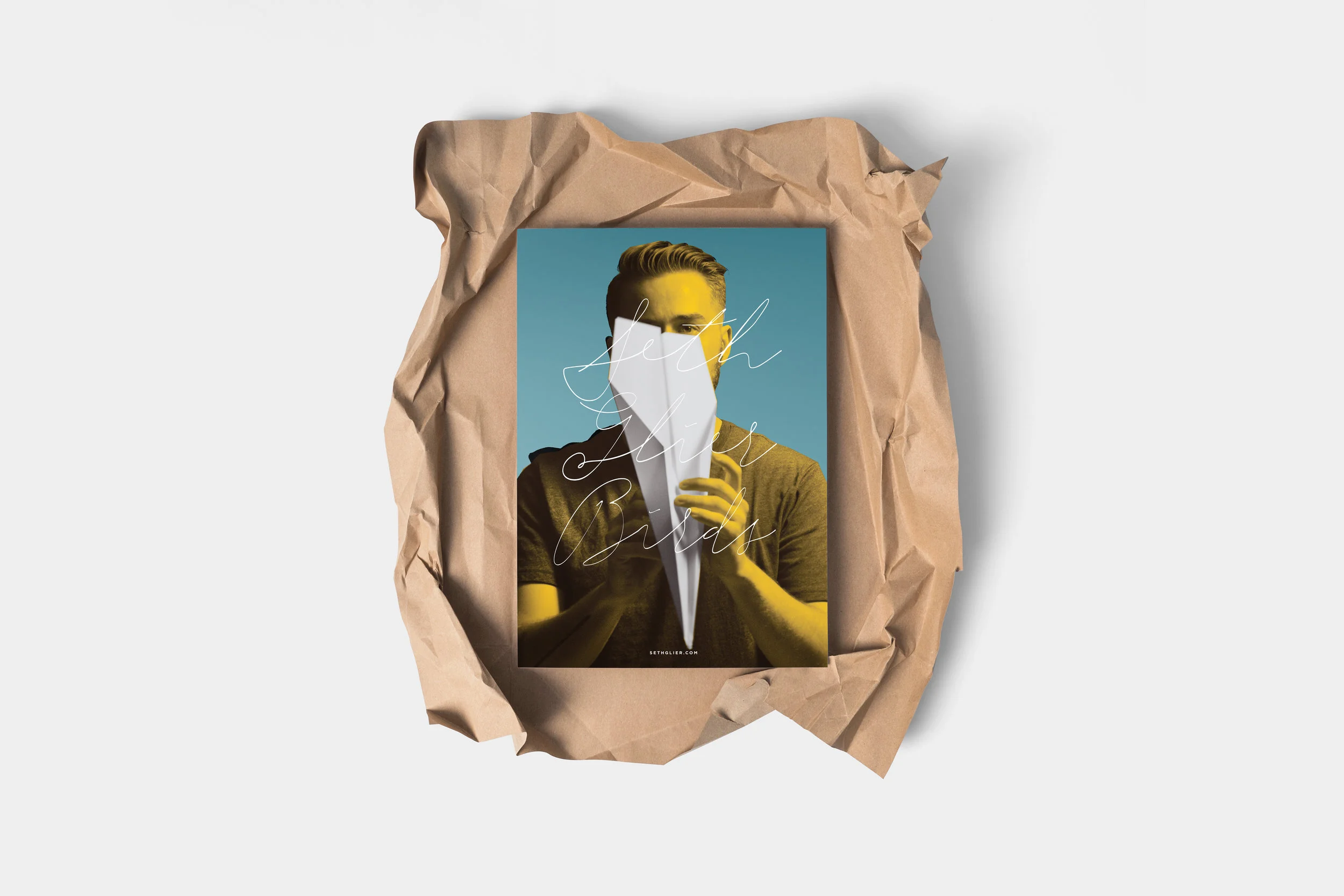 Seth_Birds Poster.jpg