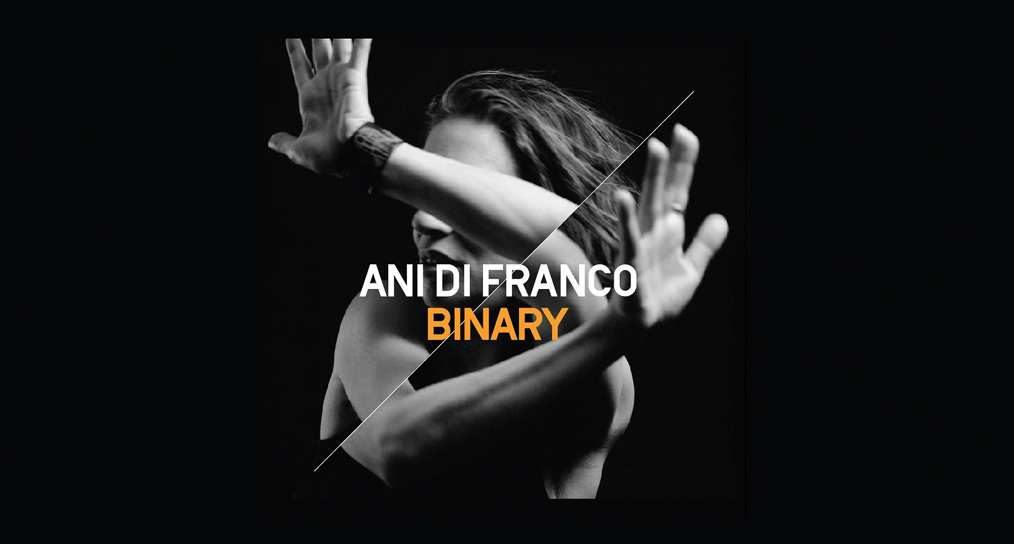 AniBinaryCover.jpg