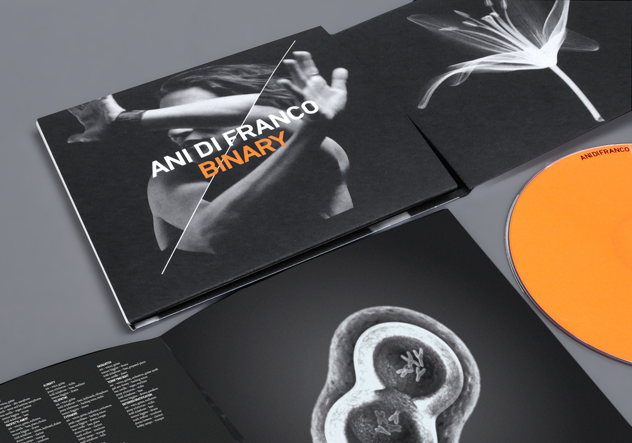 ANIBinary Packshot2.jpg
