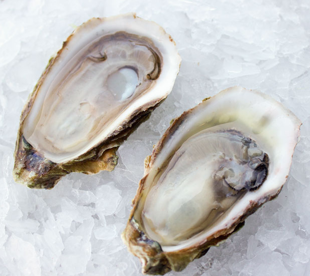 Malpeque.png