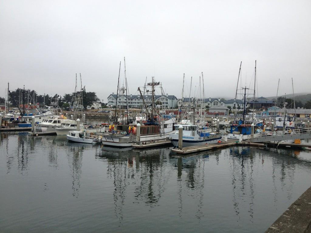 halfmoon bay fleet.jpg