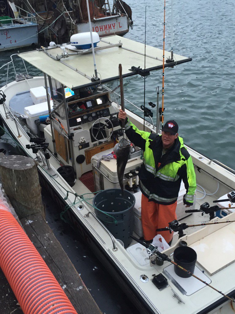 pat lingcod offtheboat.jpg