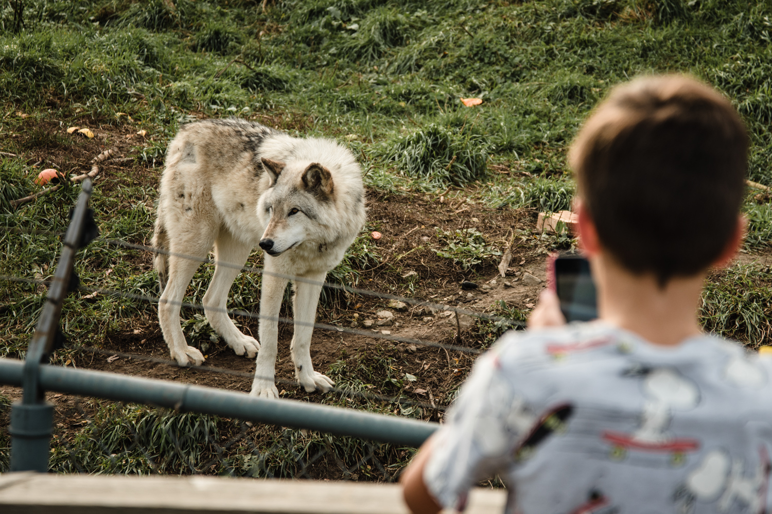 day at the eco museum05.jpg