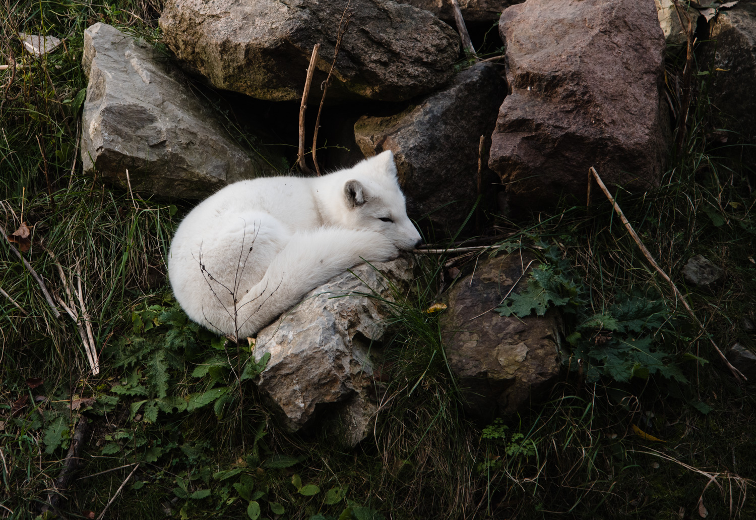 day at the eco museum12.jpg