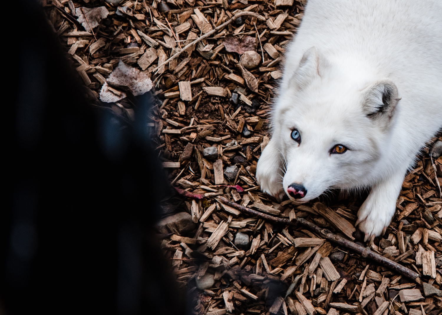 day at the eco museum13.jpg