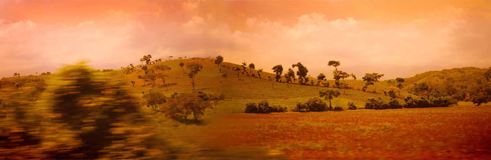 iew from the road.jpg