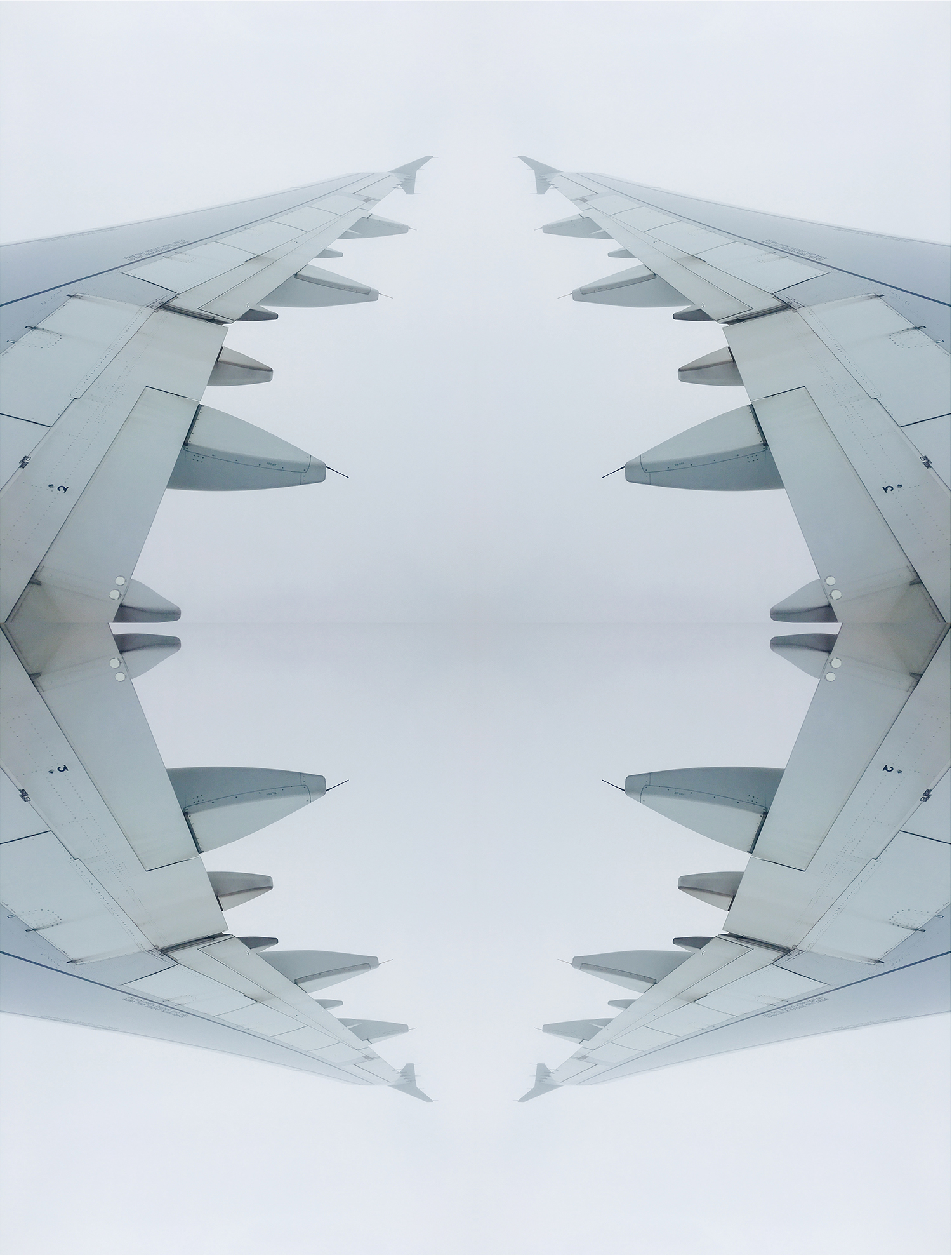 wing2.2..jpg