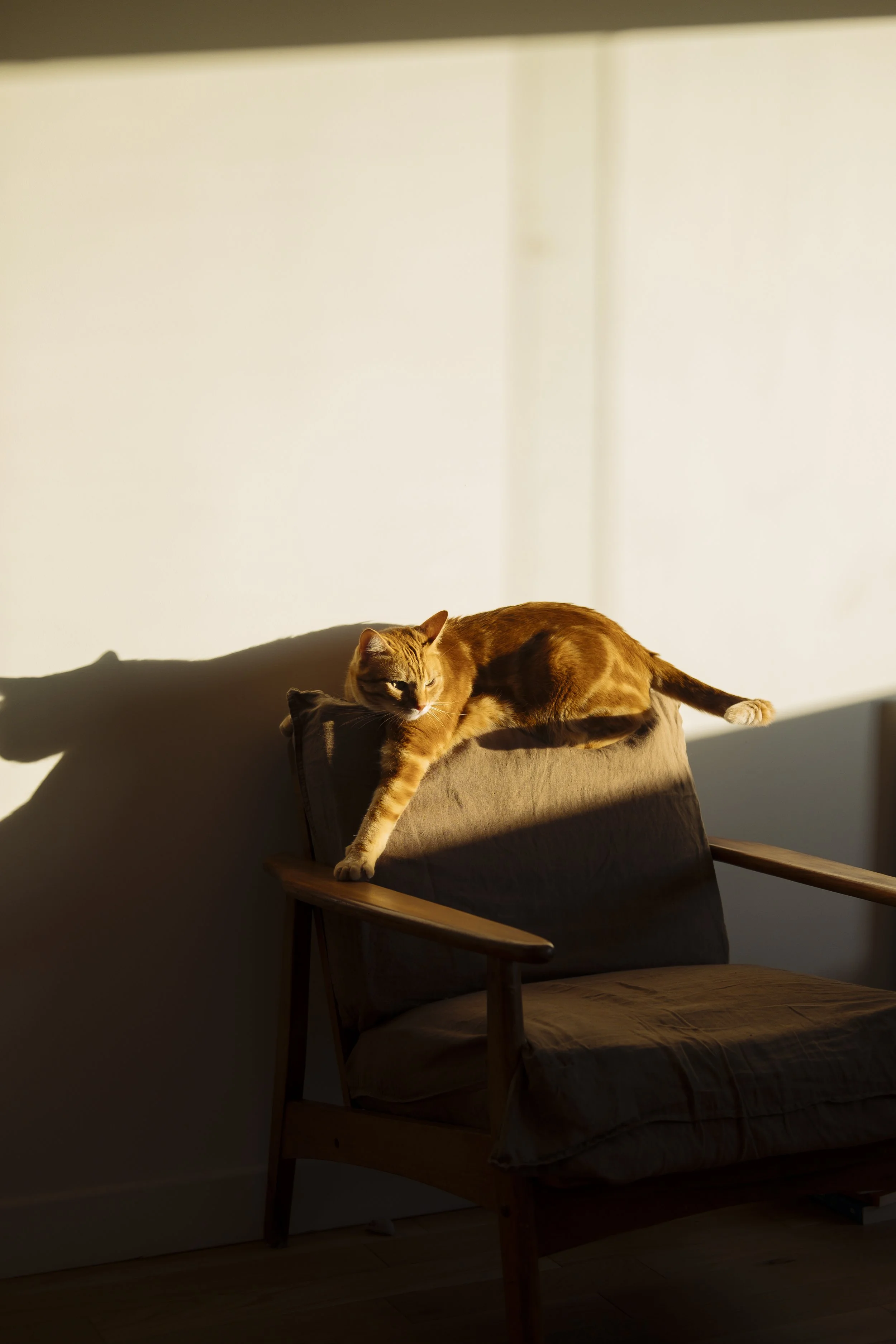 Alexs_Place_JPEGs- 8.jpg