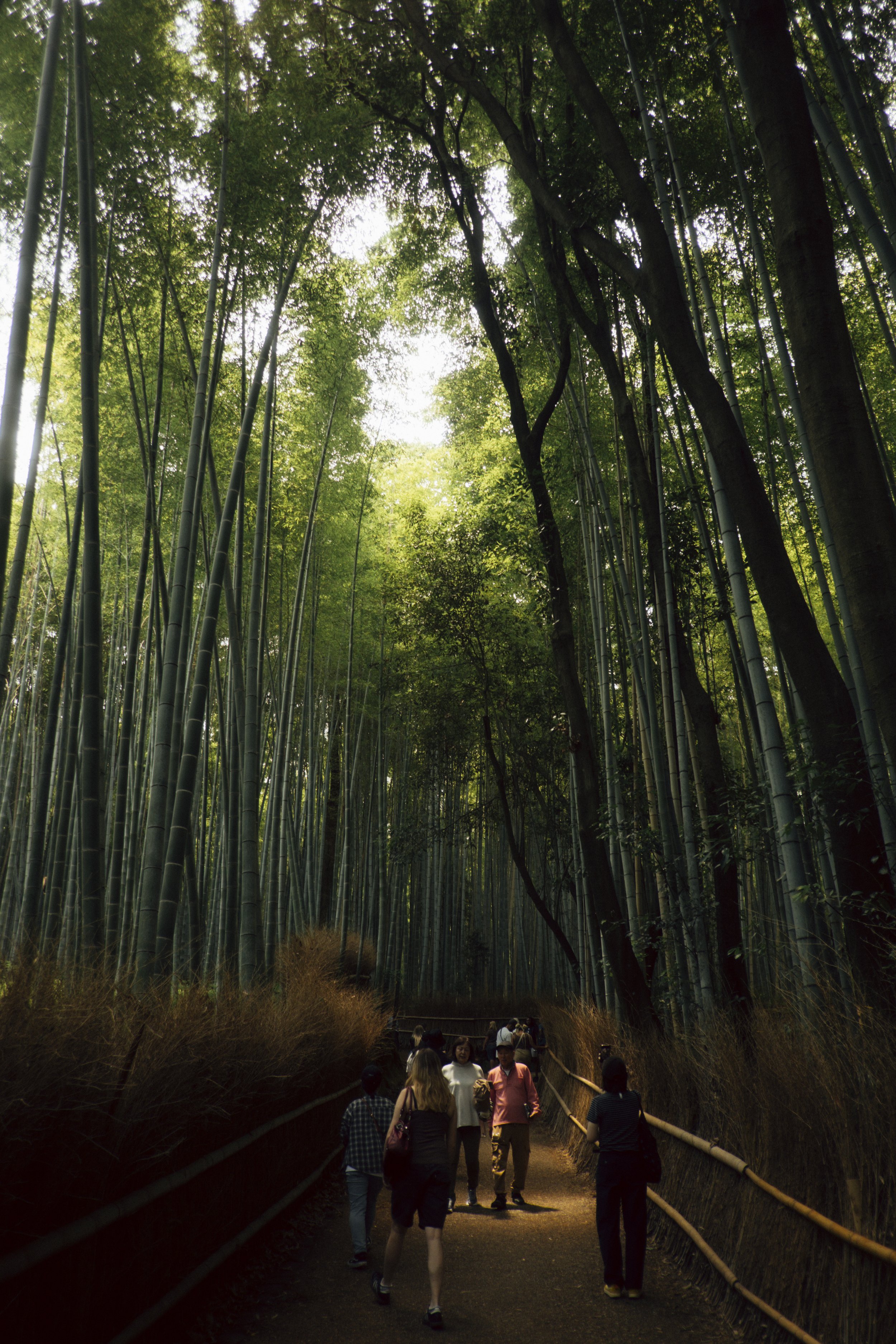 Day Four Kyoto- 42.jpg