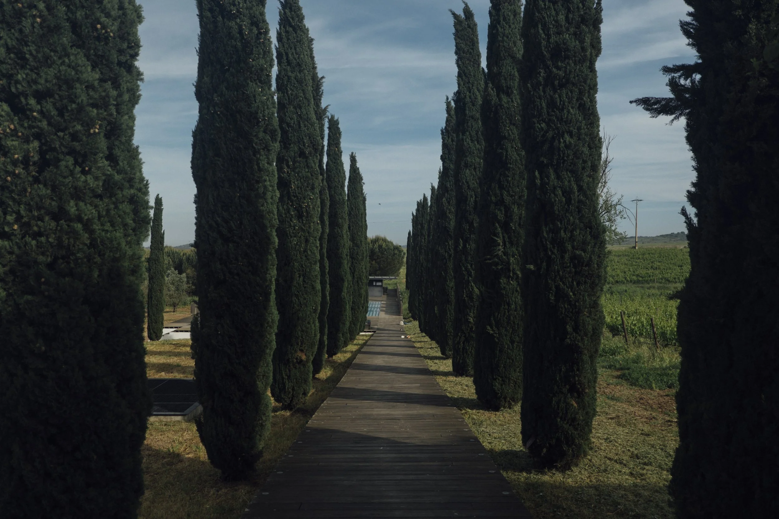 Torre de Palma Wine Hotel-13.jpg