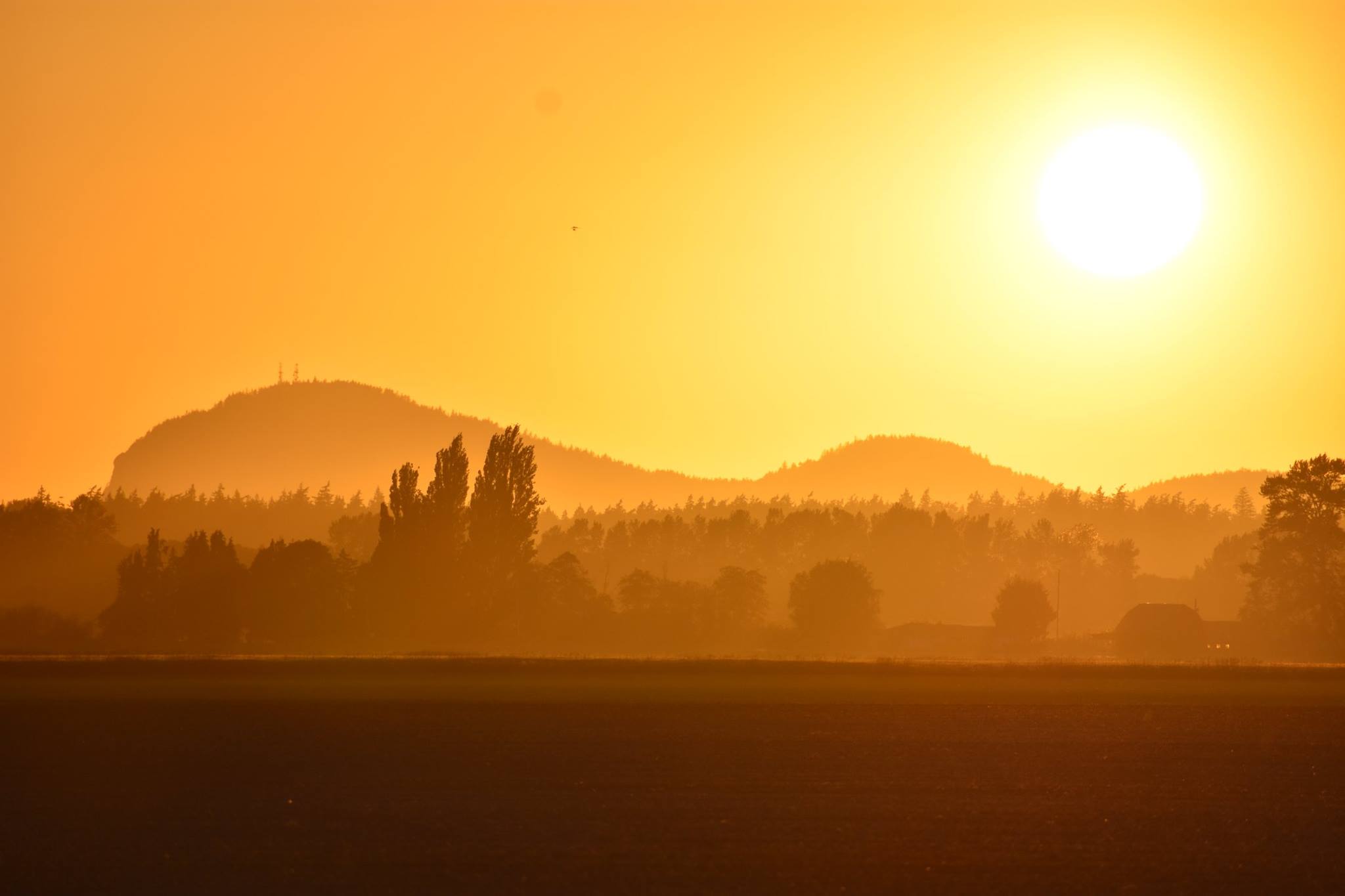 summer sunset