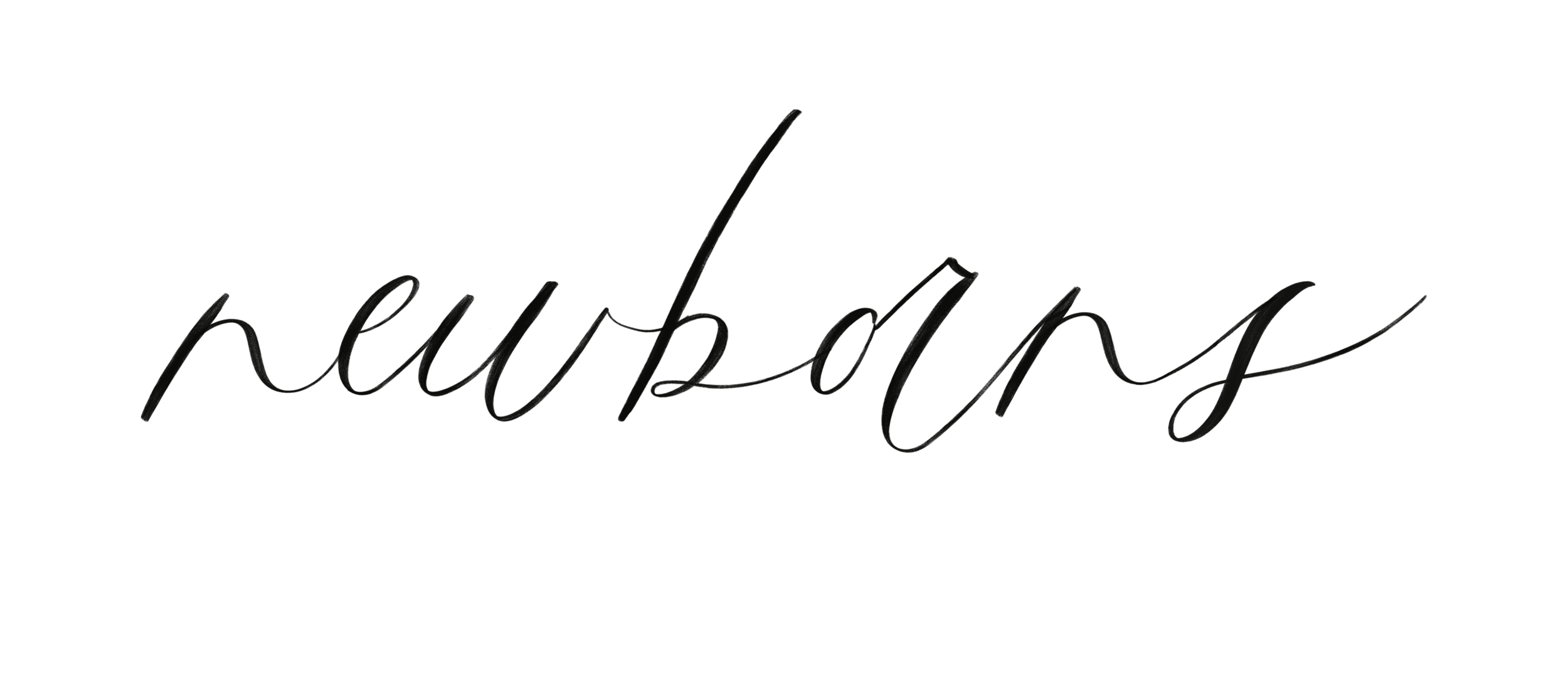 Newborn Gallery Jenny Havens Photography