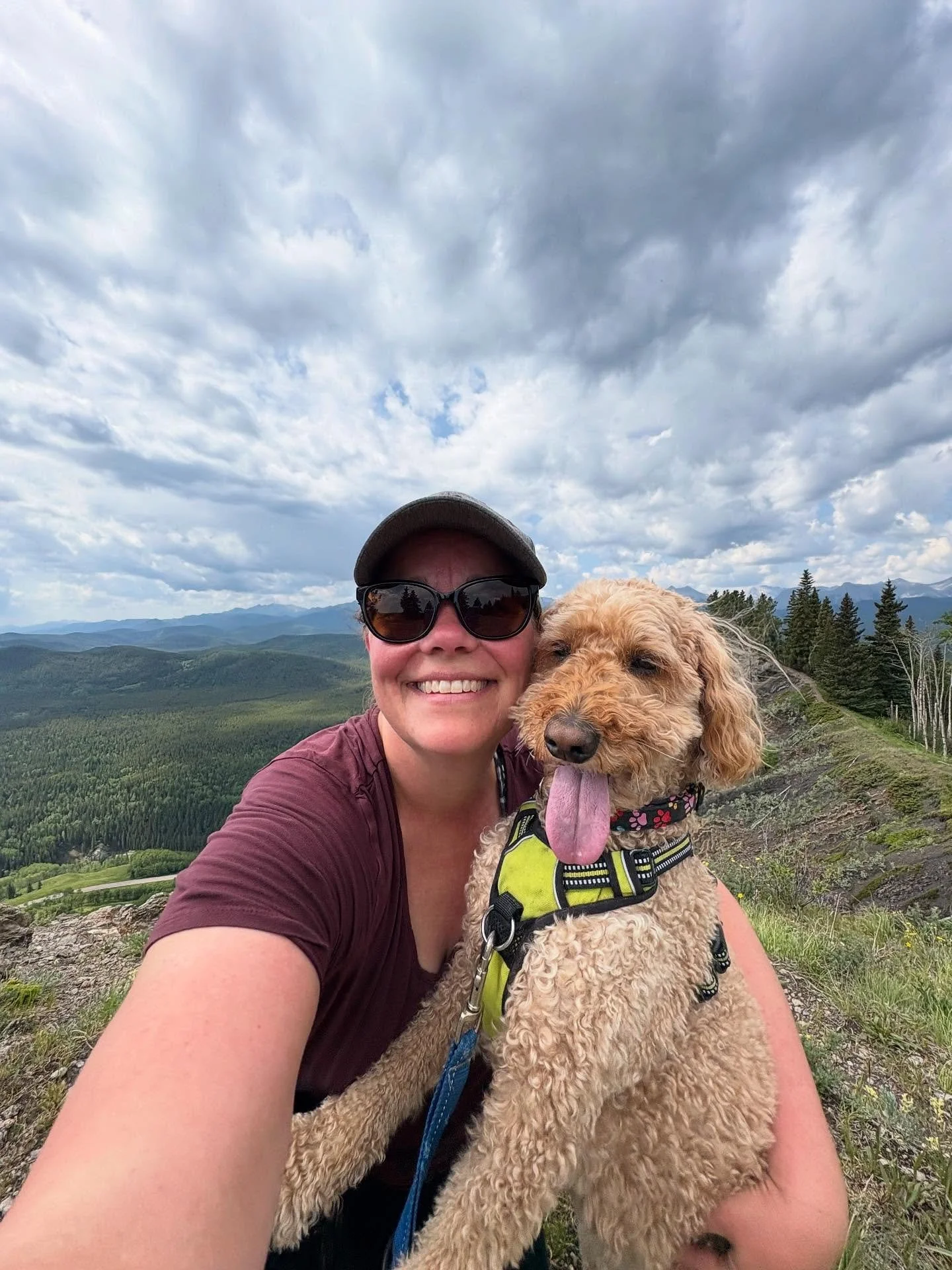 As I get older (53!) it is very evident that my body is different. It&rsquo;s harder to move. It takes longer to recover. More aches. More stiffness.

But I know this. If I want to keep moving my body in the future, I need to move my body now.

Walki