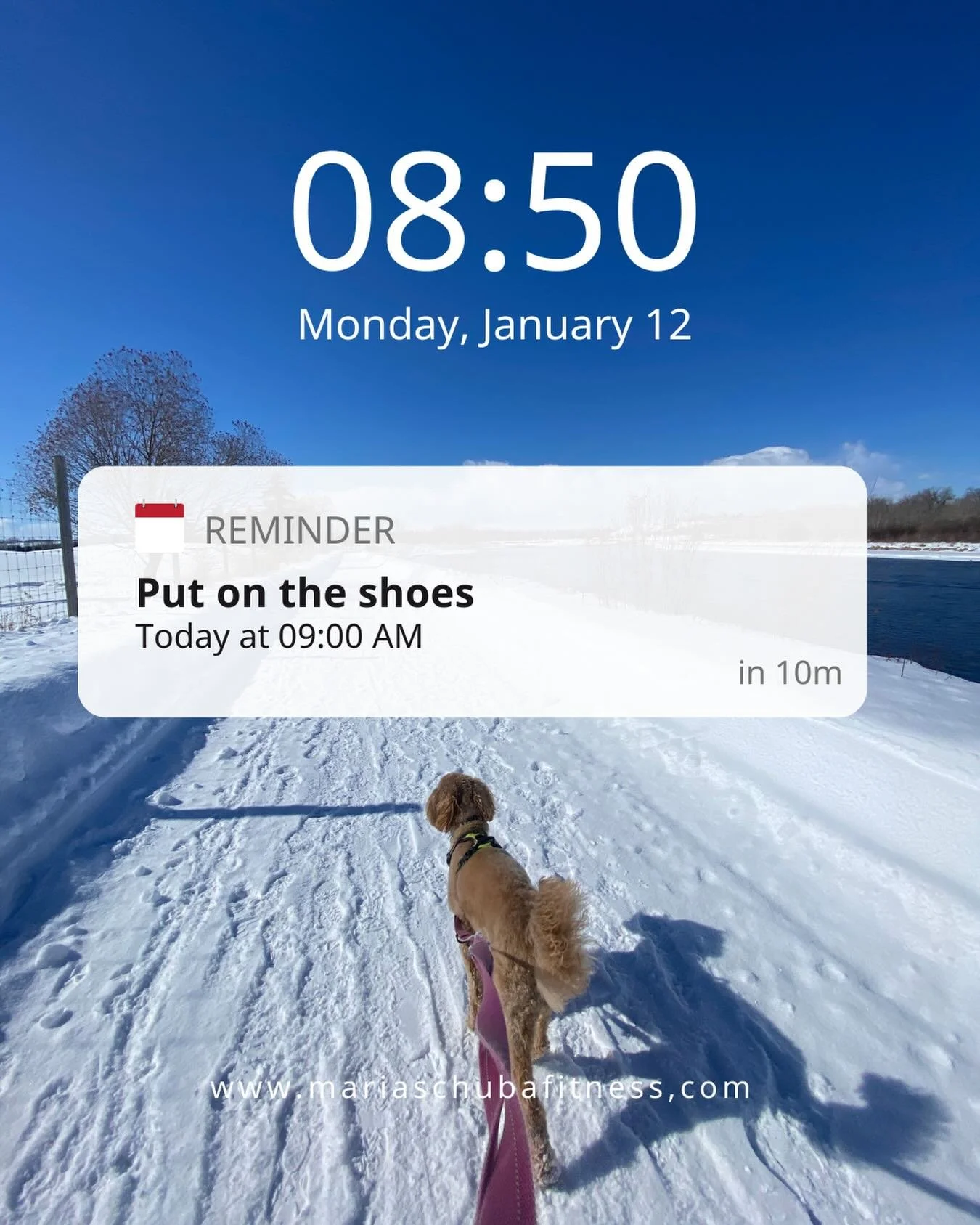 &ldquo; I don&rsquo;t feel like working out.&rdquo;

How often do you feel that? Just don&rsquo;t want to put on the shoes? Don&rsquo;t want to exercise. Would rather stay at home. In your warm house. In bed. On the couch. Or maybe your to do list is