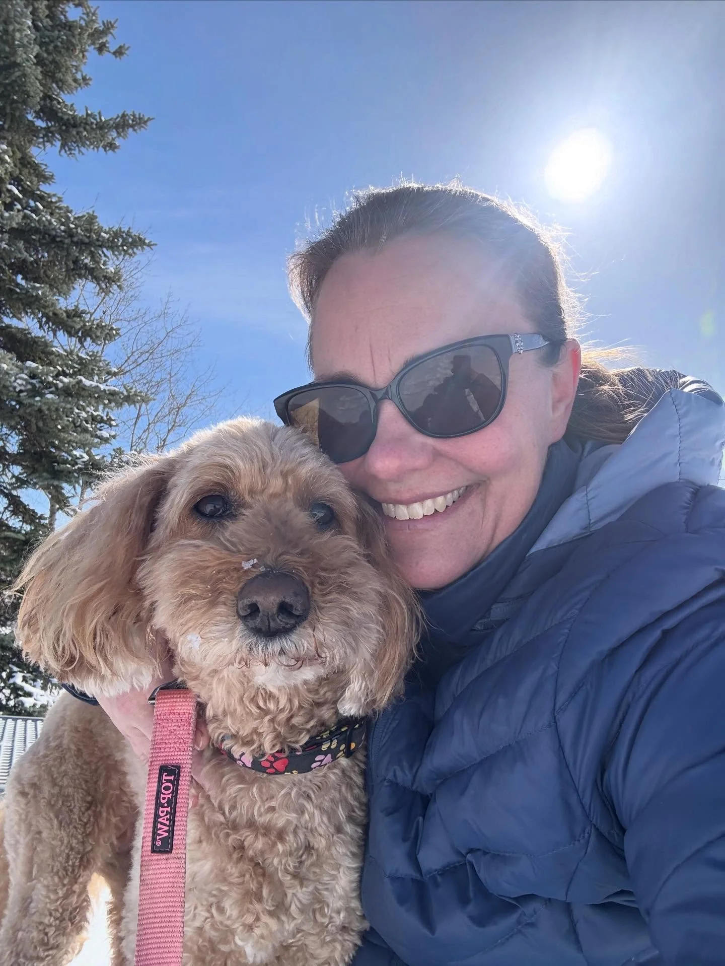 Today, I got to walk my dog. 

Went at Rosie pace 🐶. Sat on the bench and enjoyed some sunshine and the sound of the birds. 

Mobility: The ability to move or be moved freely or easily. 

✨✨✨
Mobility is not guaranteed. 
✨✨✨

And it&rsquo;s somethin