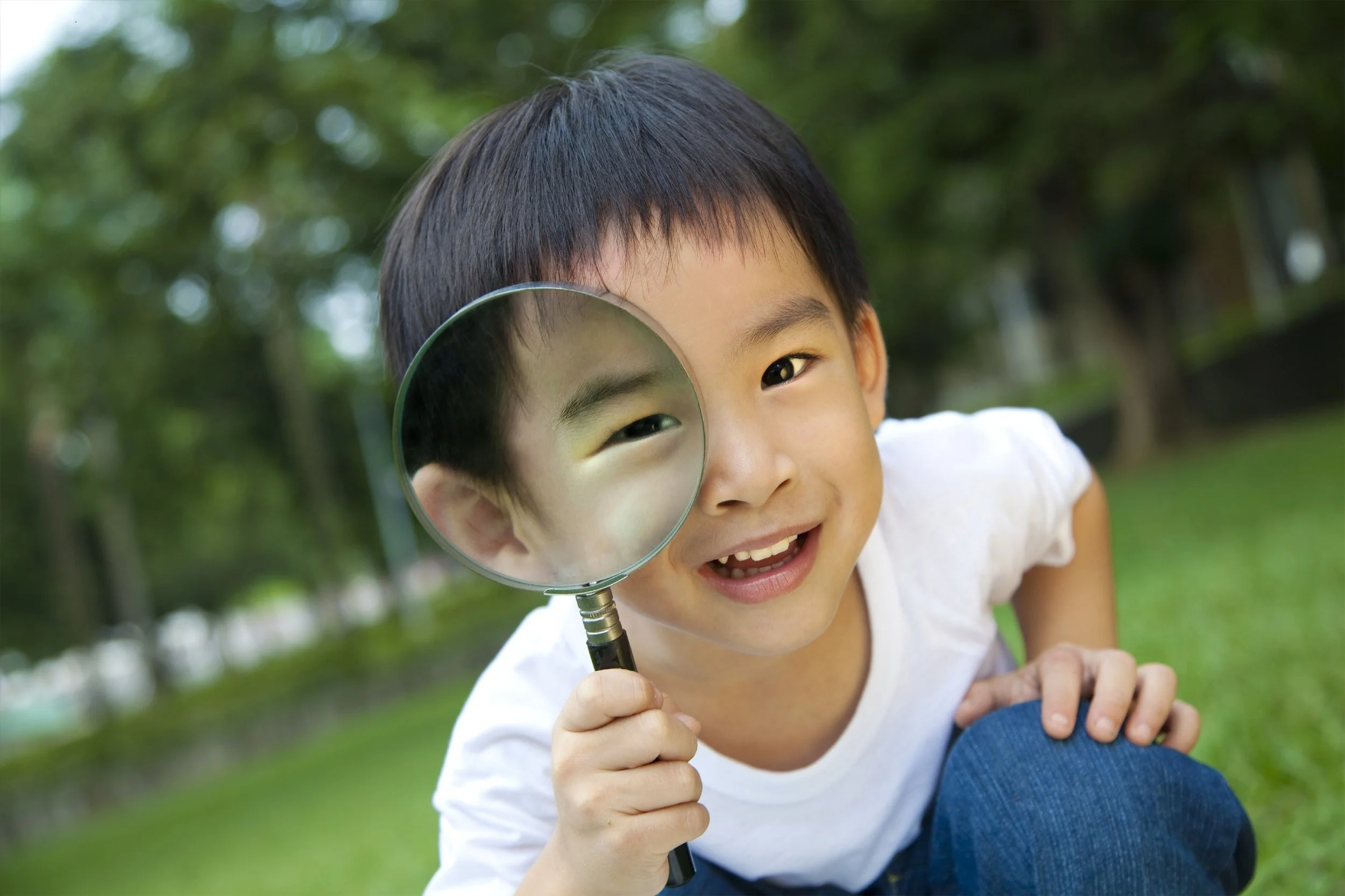 iStock_000017593298Large.jpg