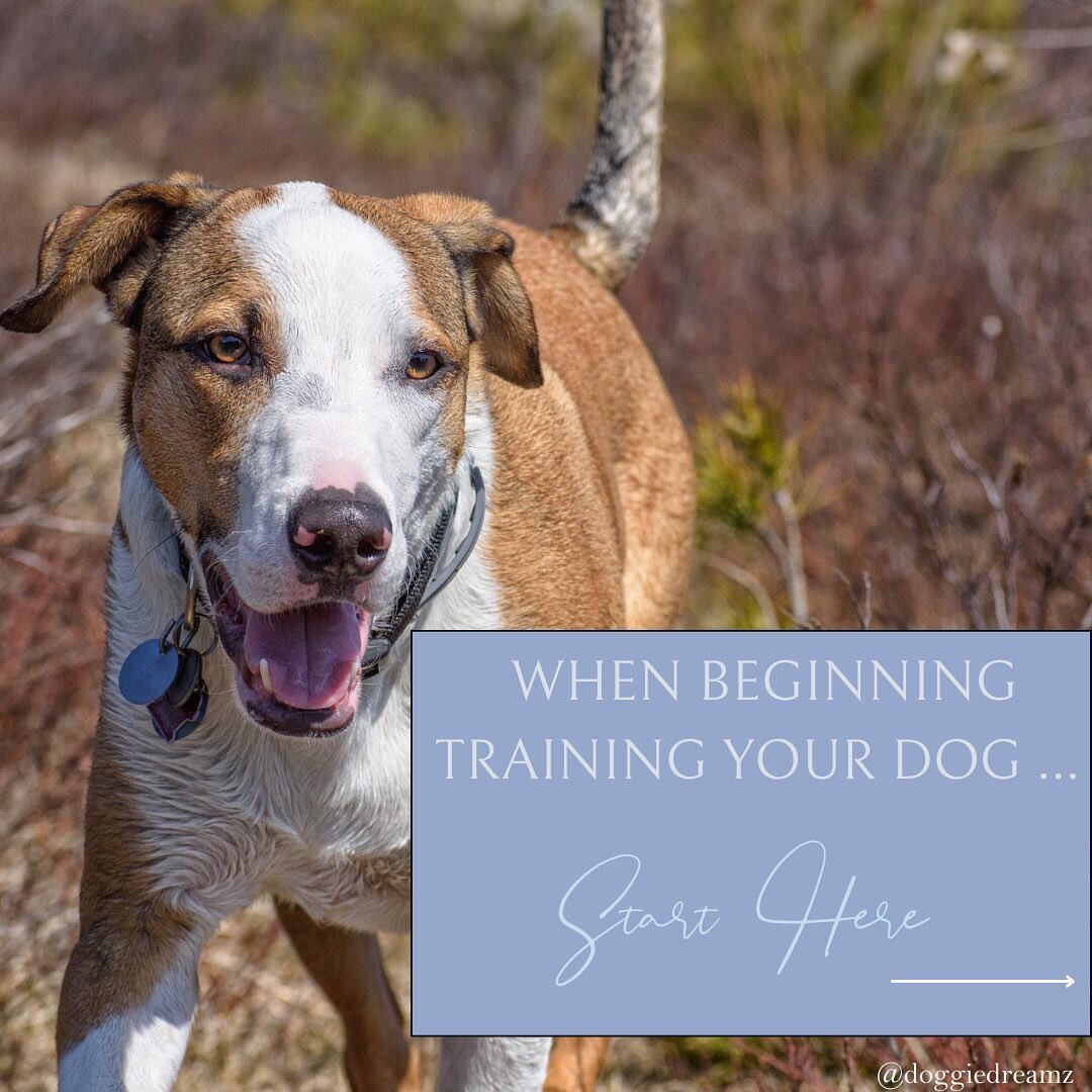 It can be overwhelming this time of year when we have set goals for ourselves and then try to incorporate those goals into our chaotic lives. 
⠀⠀⠀⠀⠀⠀⠀⠀⠀
If one of your goals was to address your dog's difficult behaviors, then here are some examples o