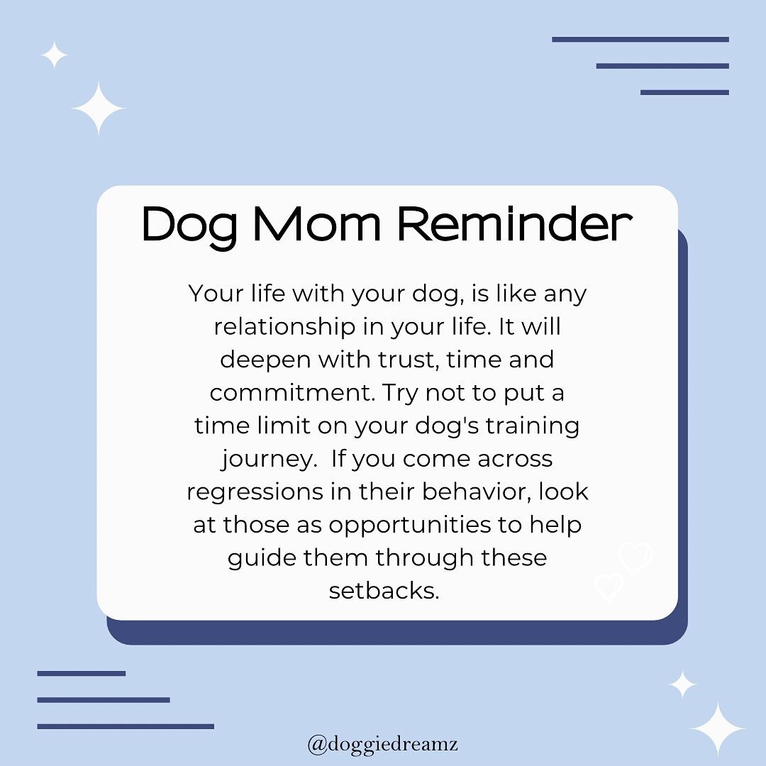 ✨A Friendly Reminder ✨

Setbacks and behavioral regressions are normal and natural part of the training process.

It does not mean you have failed or are a bad dog parent. It only means that just like with any relationship in your life, you might nee