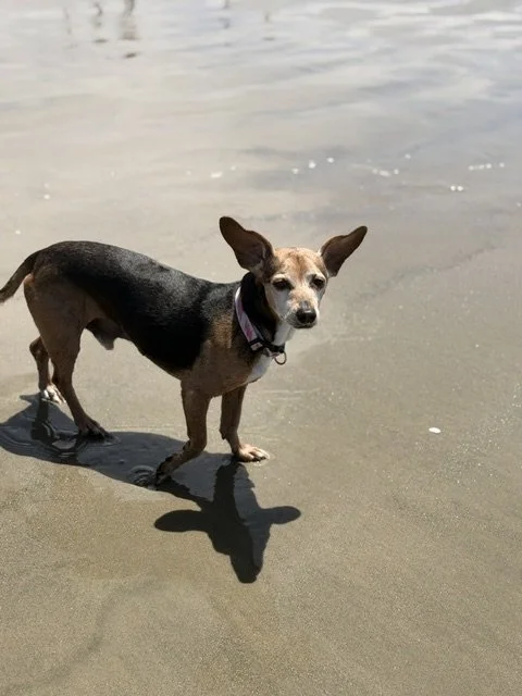 IMG_0676.jpeg