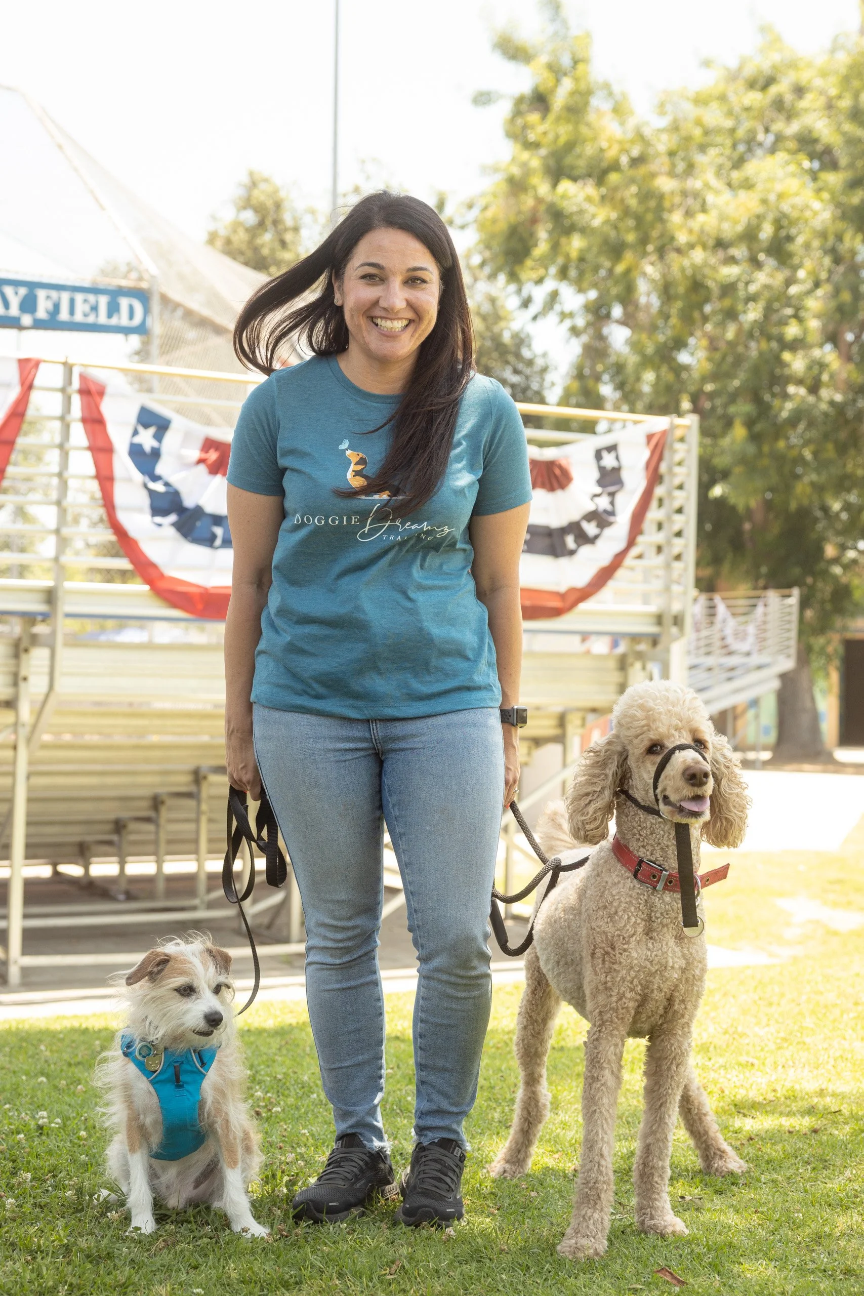 Woman in blue shirt walking a small terrier dog and a standard poodle