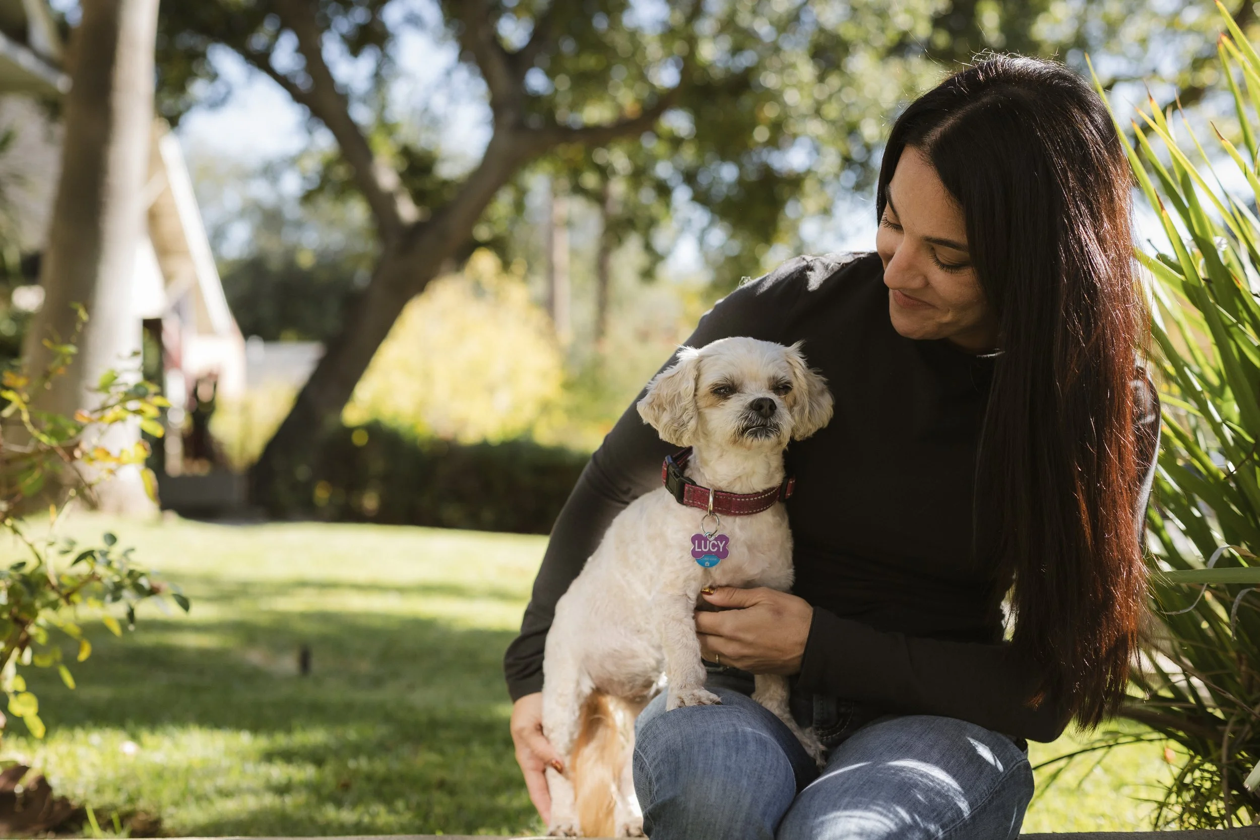 woman holding cream small dog on her lap