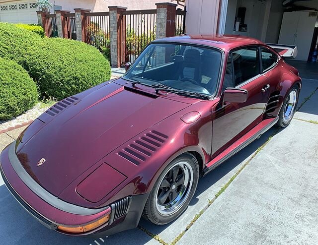 Brought this slant nose back to life! #Porsche #911 #porschecarrera #porsche911 #porscheclub #porsche930 #porsche992 #porschegt2 #luftgek&uuml;hlt #porschefans #porschelife #porschegram #detailing #details #paintcorrection #detailers #detailersofinst