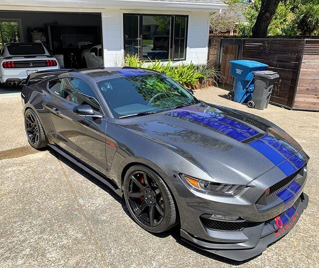 I don&rsquo;t think I&rsquo;ve wanted something so much in my entire life! Thanks for letting me clean it up @sheedysgt350 #car  #cars  #v8  #itsMustangs  #thecleanandsheedyshow #carswithoutlimits #americanmuscle #stanglife #gt350r #bayarea #stang_sq