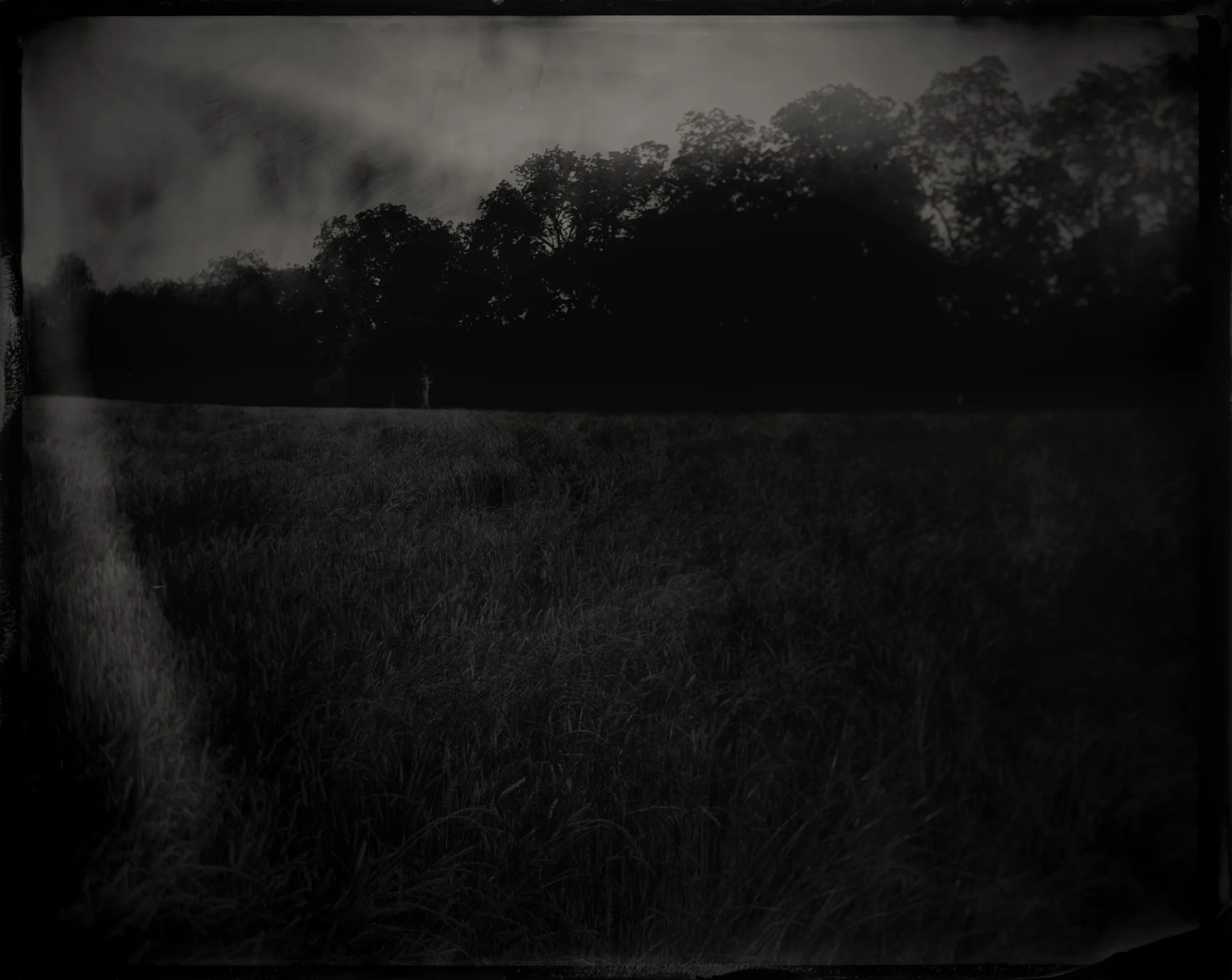 Ohatchee, Calhoun County, Alabama, 2017 Near this spot a marker stands memorializing the place where General Andrew Jackson found and adopted an orphaned Muskogee Creek baby in Nov. 1813. The story recounts how the baby was found in his dead mother's arms and Jackson had such compassion that he took the child and raised him as his own. What the marker does not report is that it was also near this location that Jackson's Tennessee militia began their genocide of the Muskogee Creek Red Sticks. The day before Jackson found the child, his forces trapped hundreds Creeks - men, women and children - inside their log homes and burned them alive. In his memoirs, Tennessee Volunteer Davy Crocket wrote that the few Creek who escaped were "shot down like dogs."