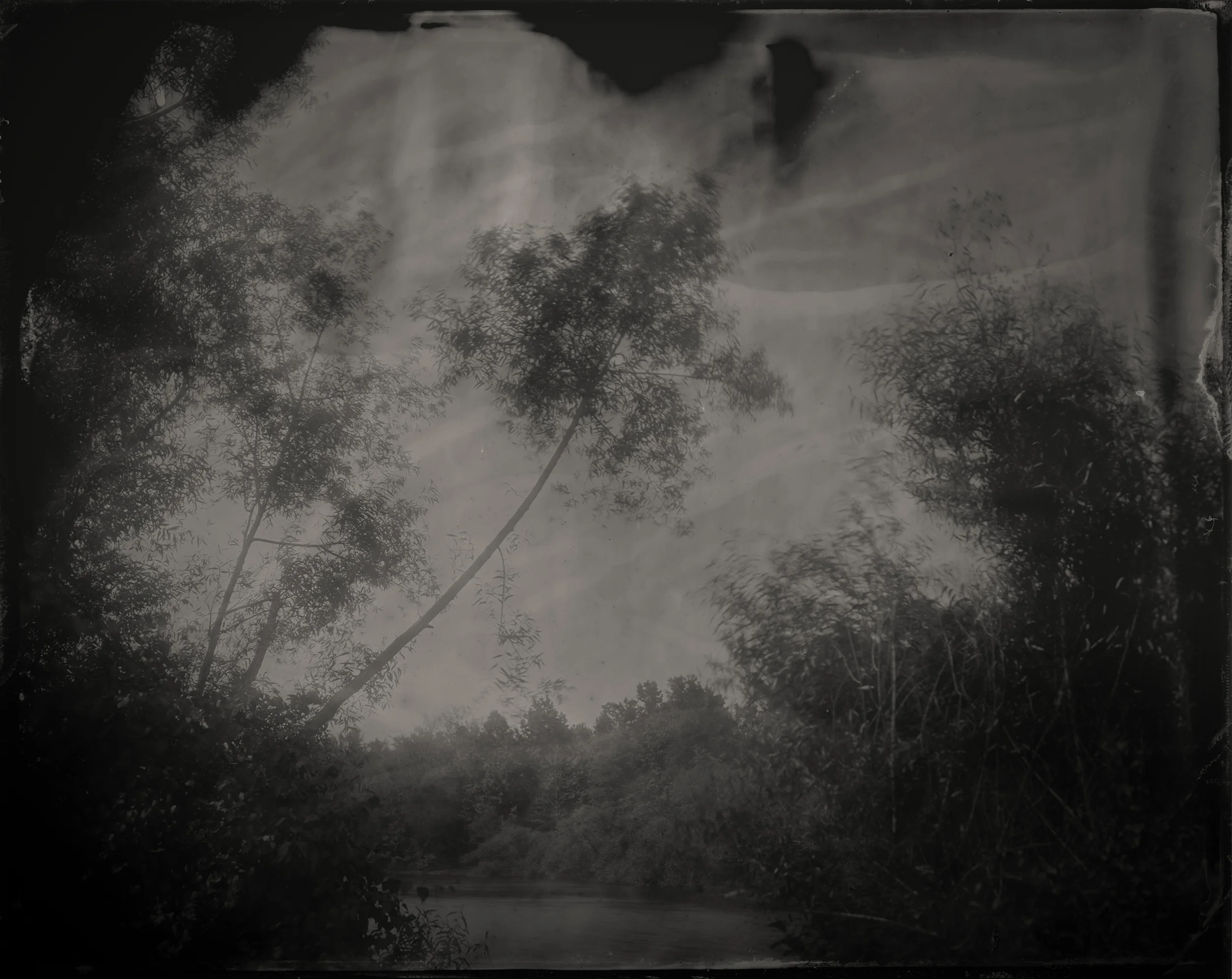 Unnamed island on the Coosa River, Cherokee County, Alabama, 2017 Near this site stood the great Native American city of Chiaha, where in 1540 DeSoto stood on the banks of the river and marveled at "the beauty and richness of the land" and was warmly welcomed by a soon to be occupied and enslaved people.