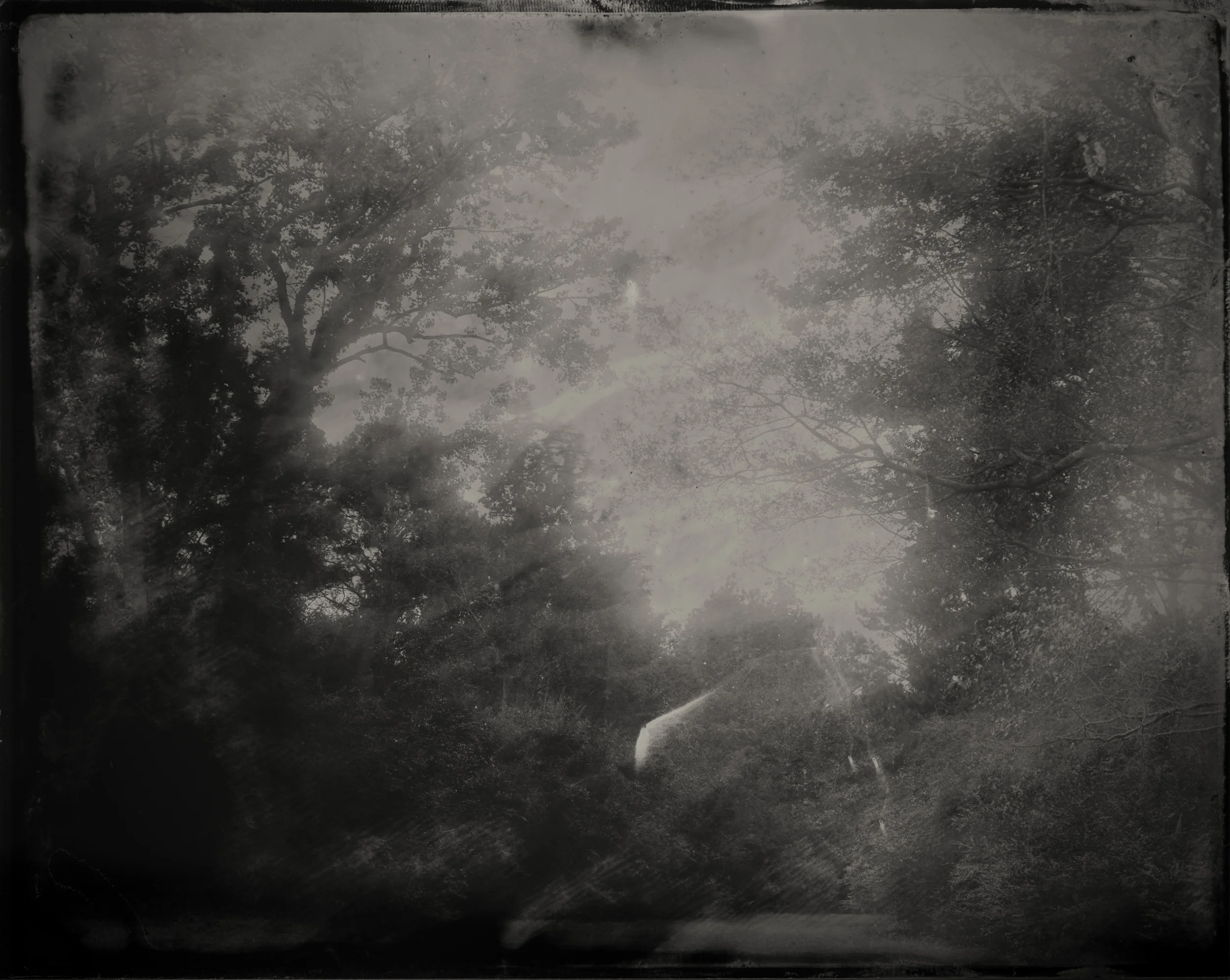 Garrett Cemetery, Cherokee County, Alabama, 2017 Outside the gates of the Garrett Cemetery is the final resting place of Pathkiller, the last King and full-blooded hereditary chief of the Cherokee.