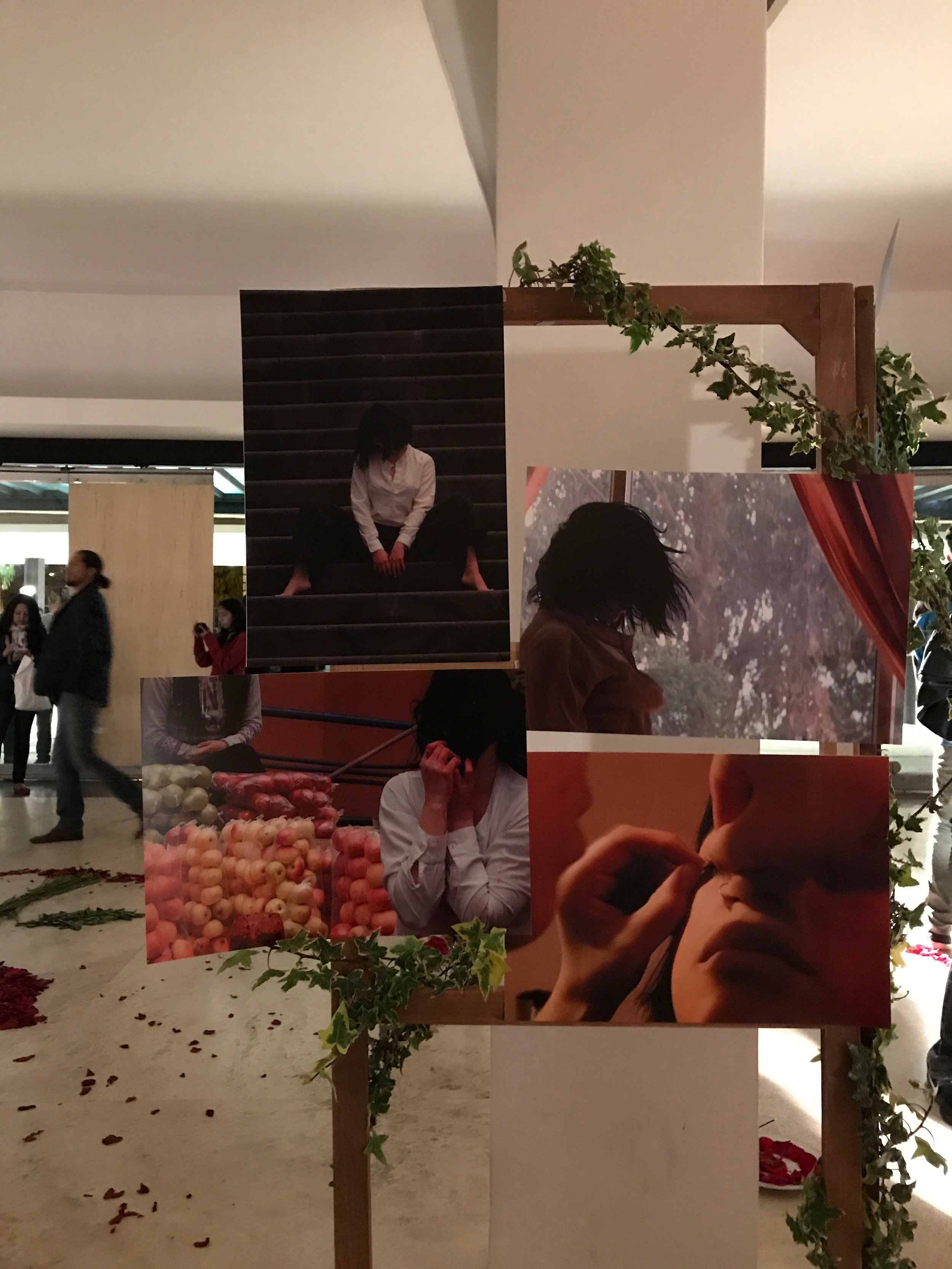 TRANSFIGURACIÓN  / GENOVEVA MORA 