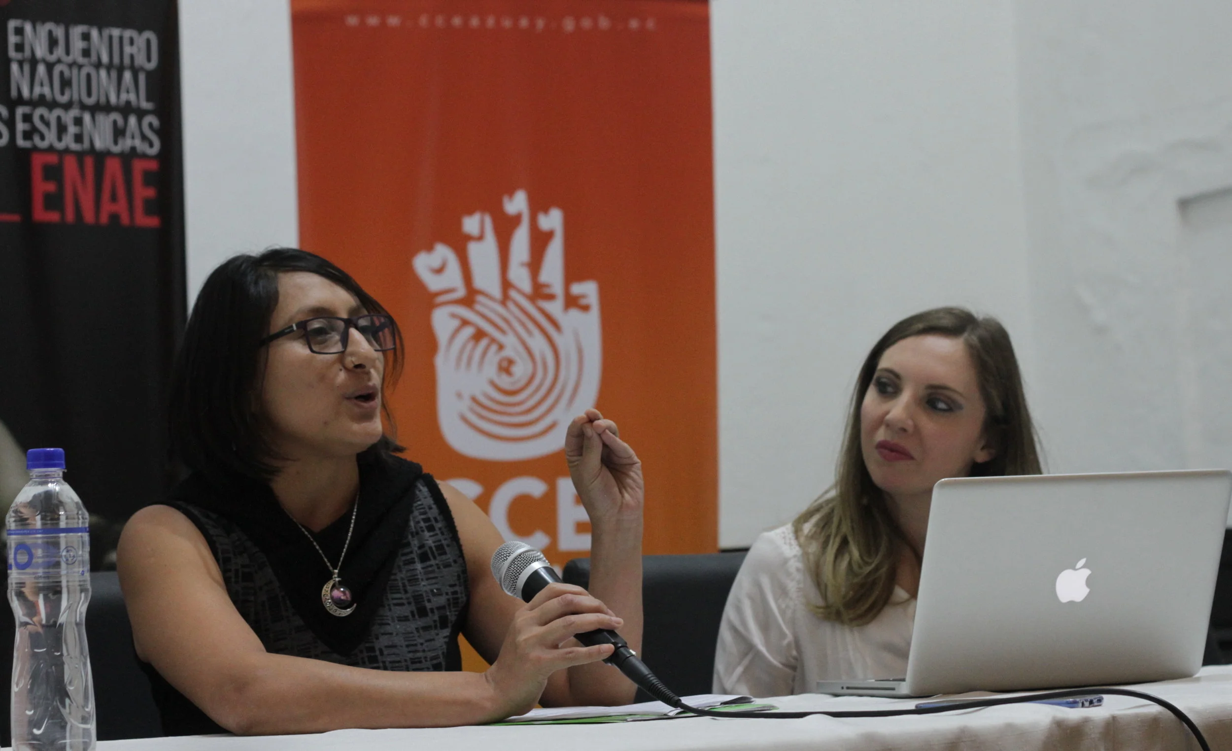 Sobre la economía doméstica de la creación / Viviana Sánchez