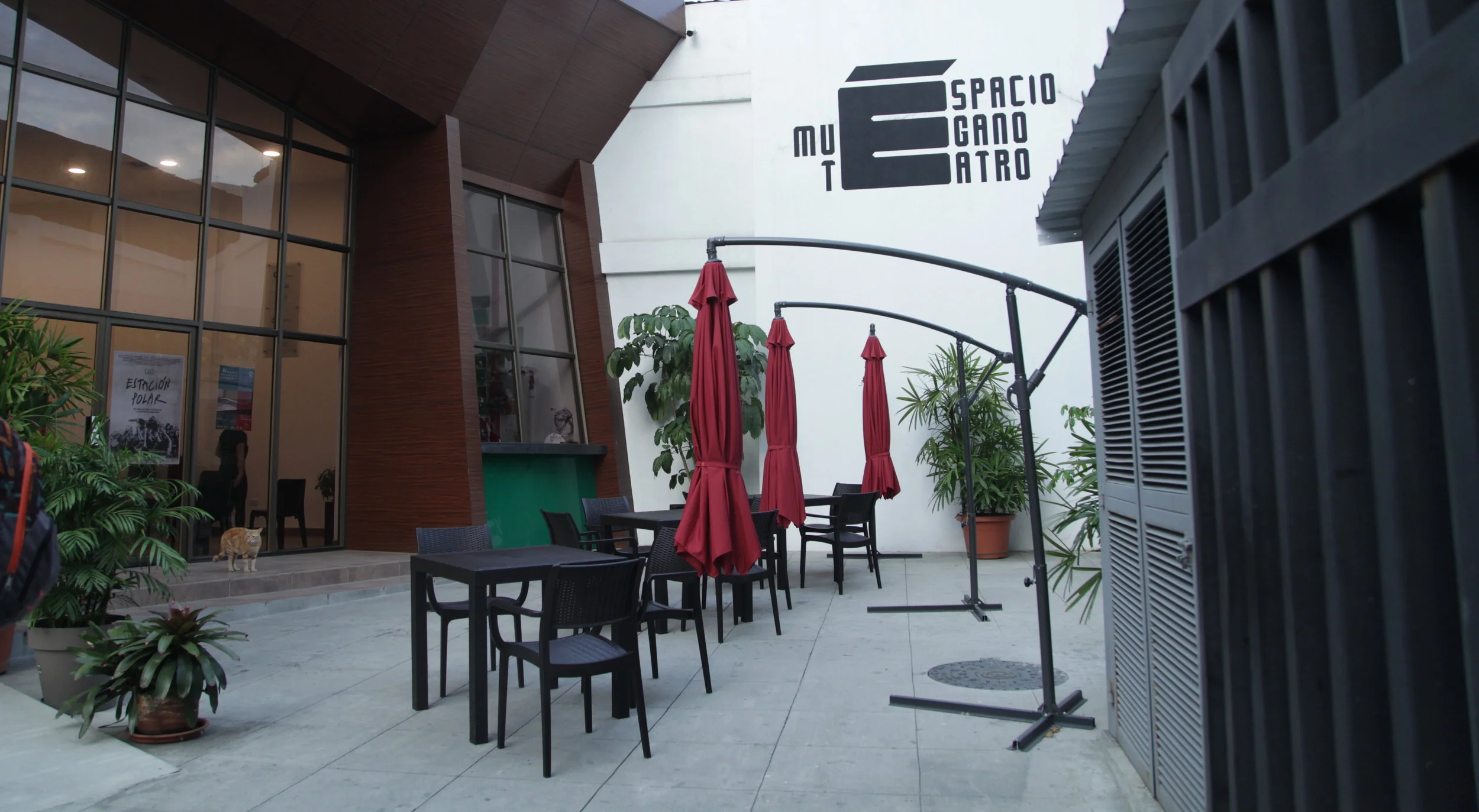 De cómo se consiguió e ingenió un espacio para Muégano Teatro / Una charla con Santiago Roldós