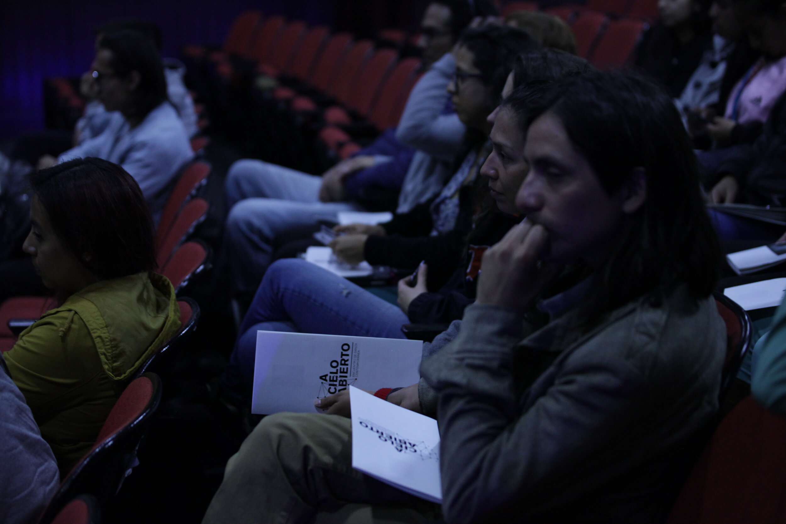 A cielo abierto, un encuentro de danza contemporánea/ Genoveva Mora 