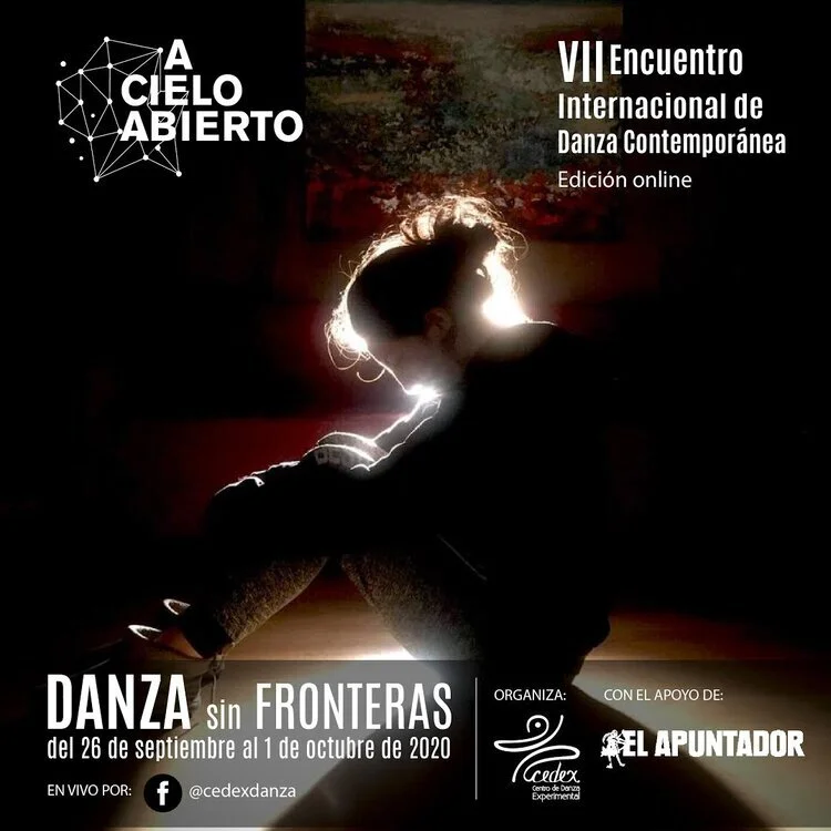 Vll ENCUENTRO INTERNACIONAL DE DANZA CONTEMPORÁNEA/ DANZA SIN FRONTERAS