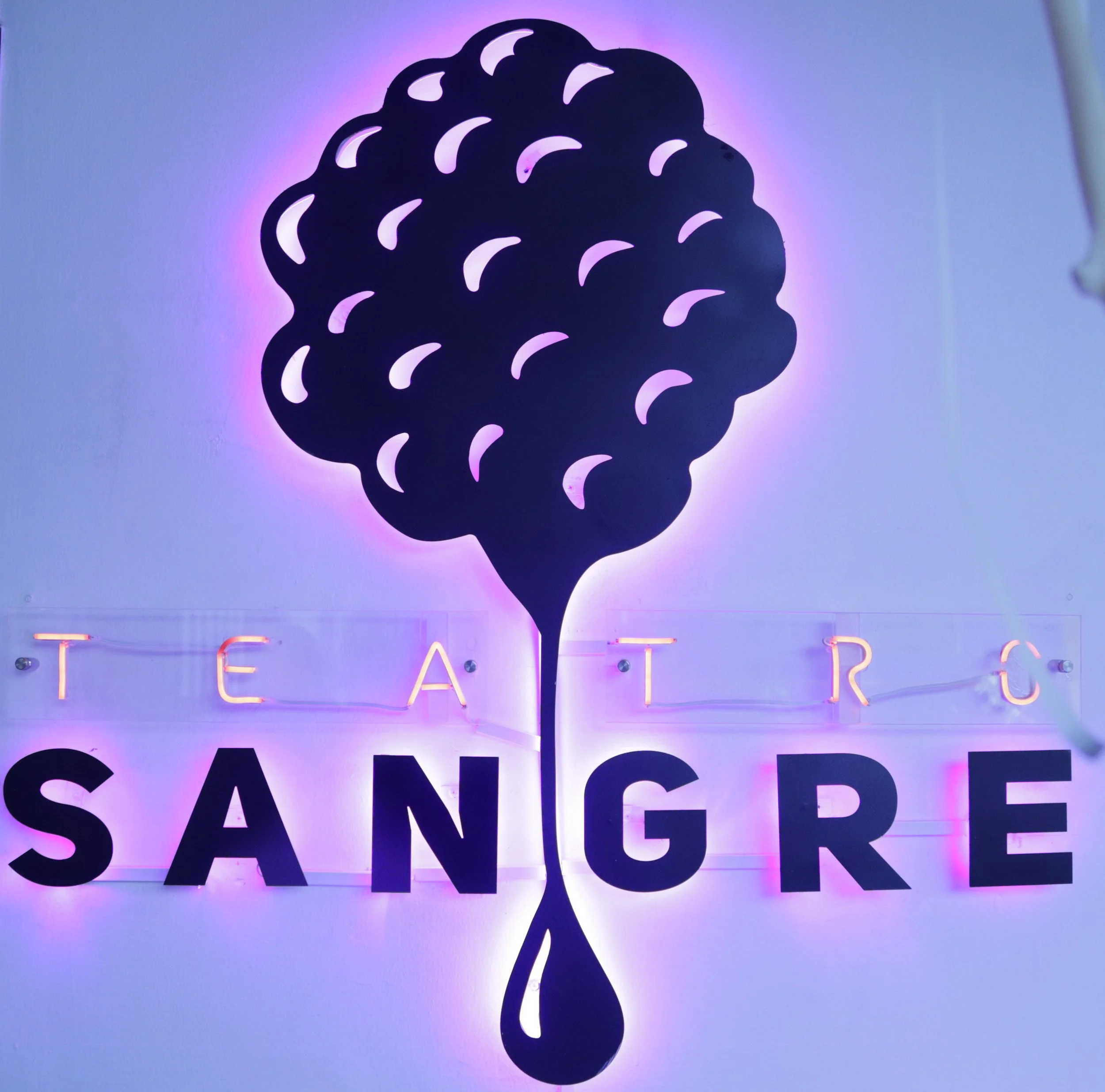 CON VOZ PROPIA.Carmen Elena Jijón y su Teatro Sangre/Genoveva Mora