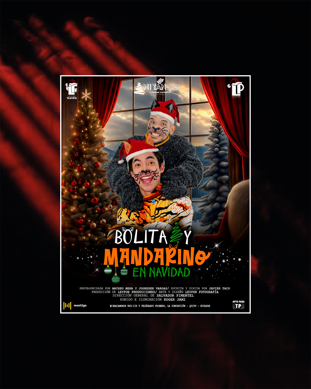 BOLITO Y MANDARINA EN NAVIDAD 