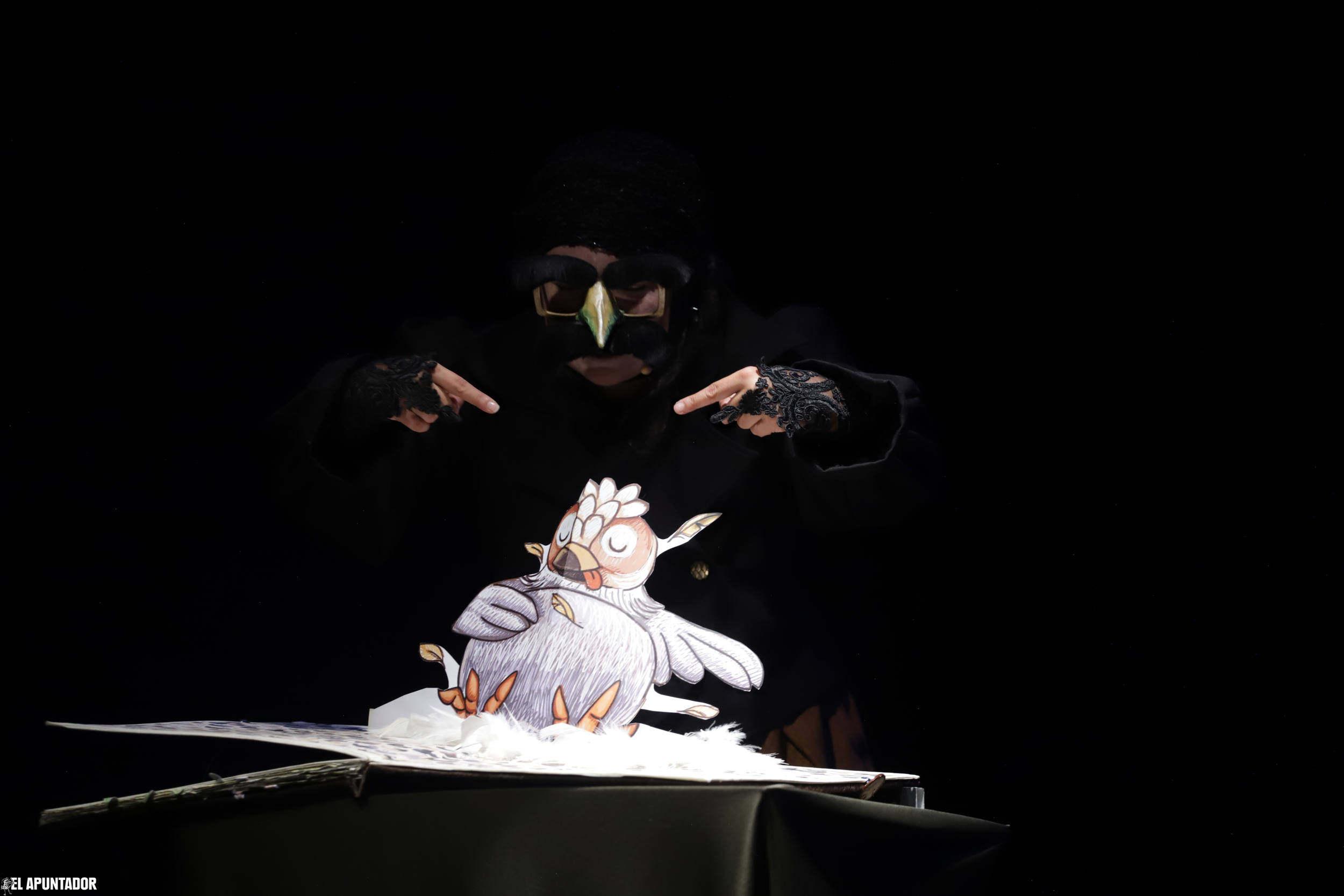 Un ave, el bello aminal l Carmen Elena Jijón