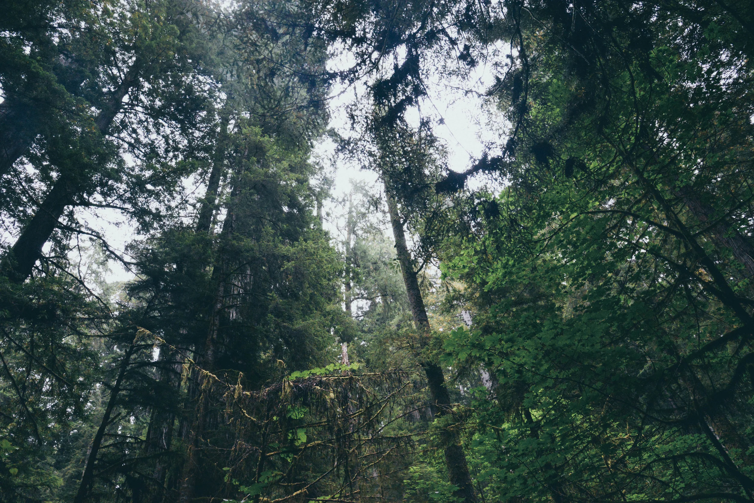 DSC_7404.jpg