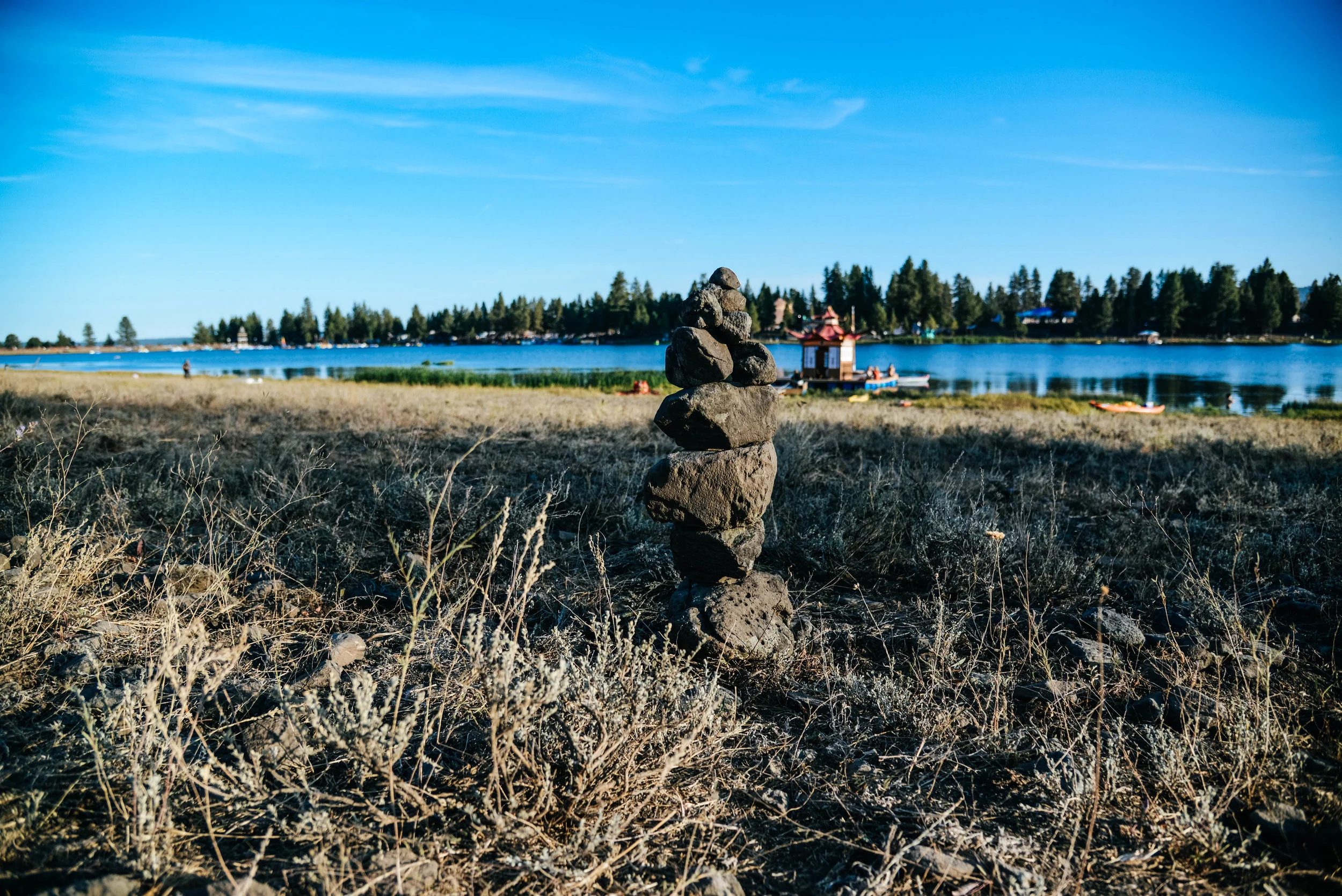 DSC_7646.jpg