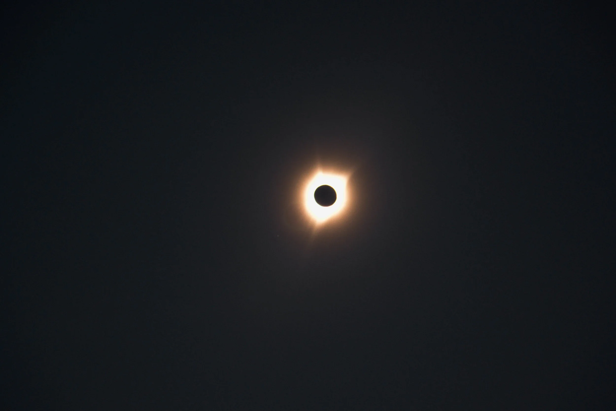 DSC_7956.jpg