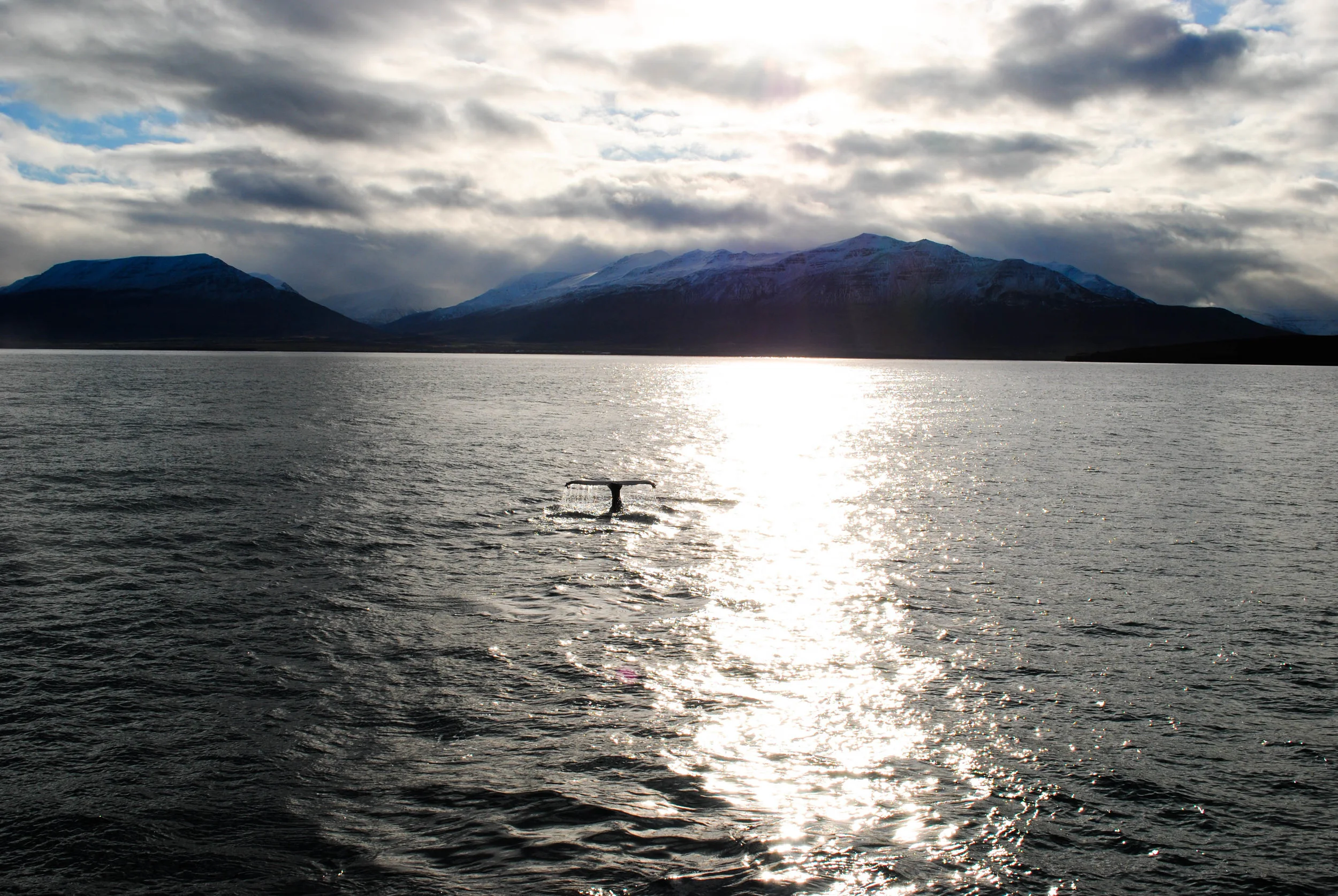DSC_0741.jpg
