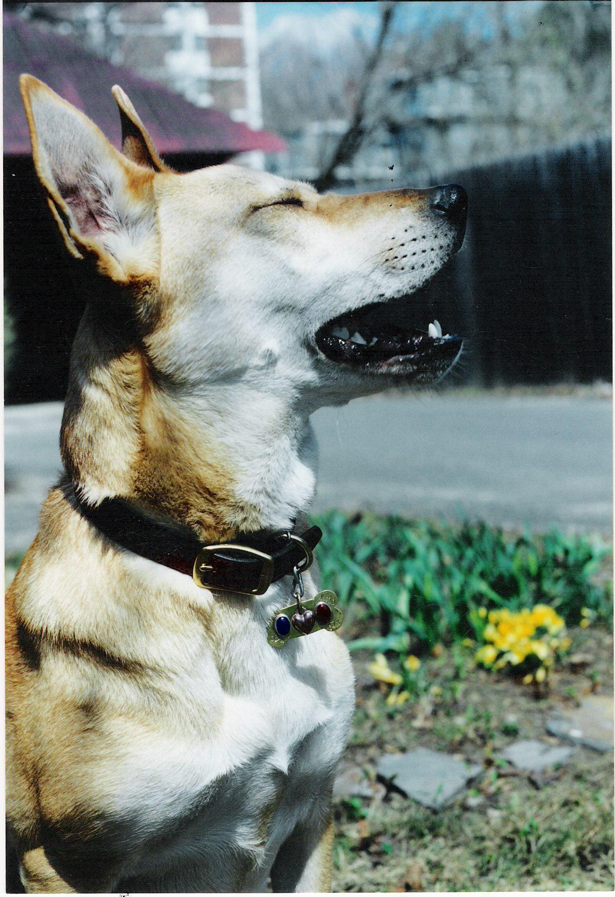Lucy