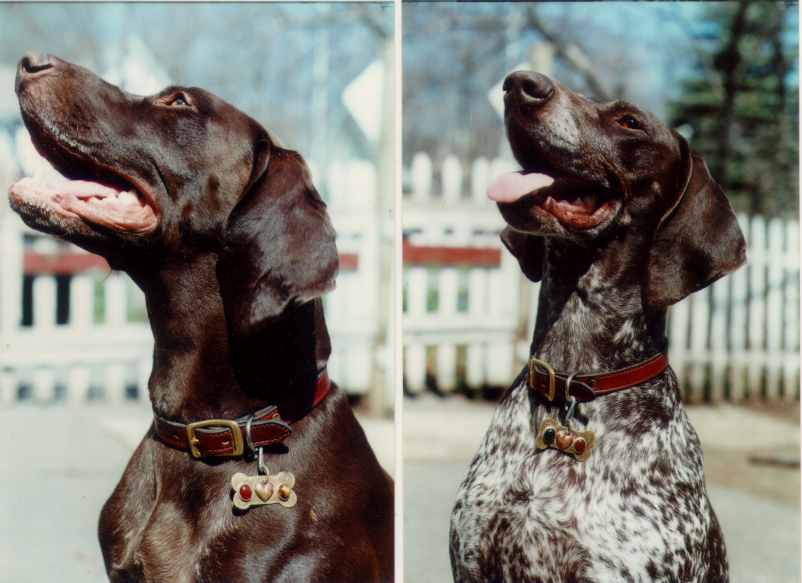 grace and ginger