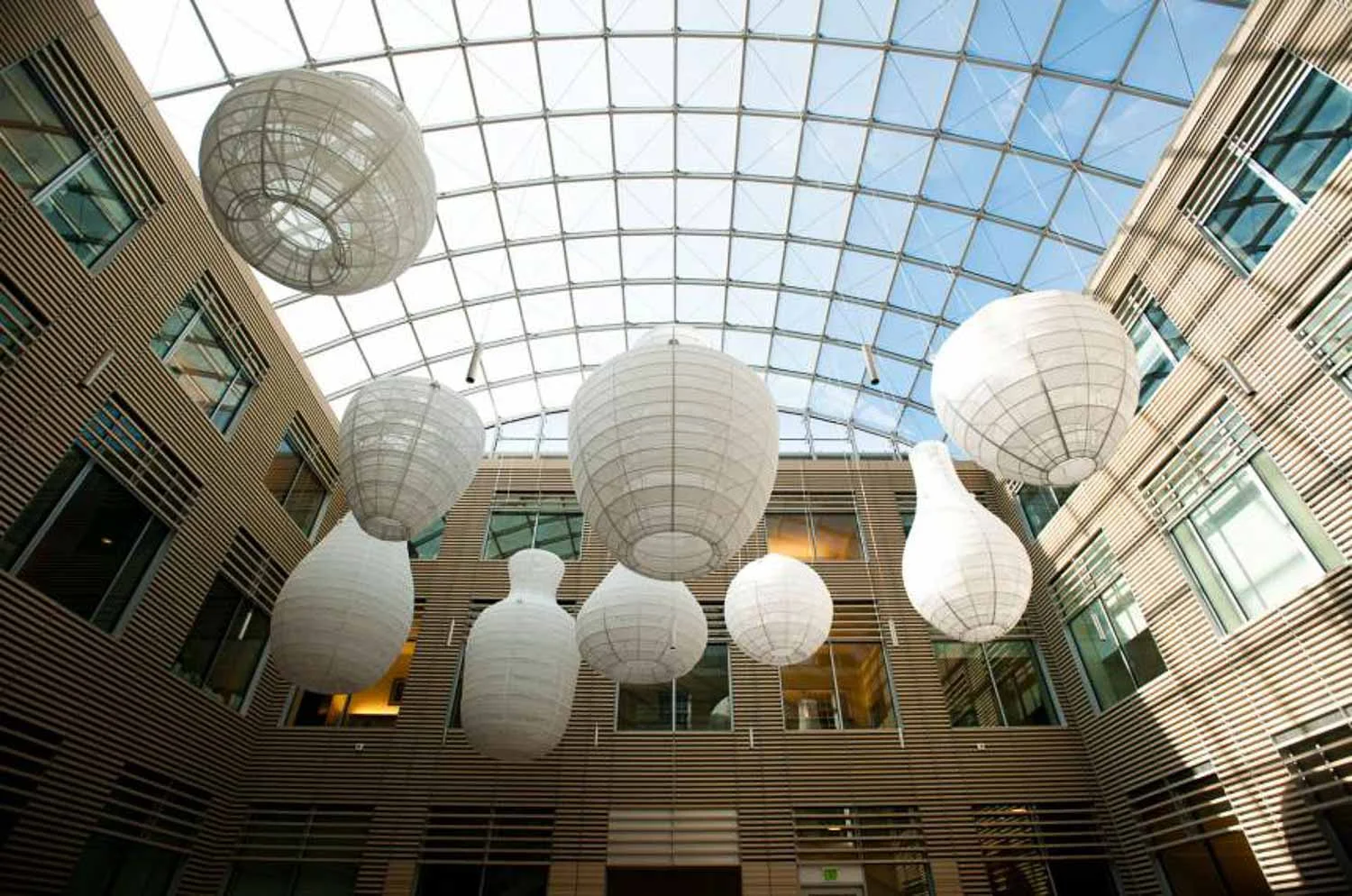 Krieger School of Arts & Sciences