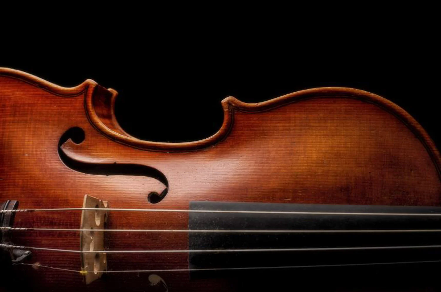 Peabody violin2-860x570.jpg