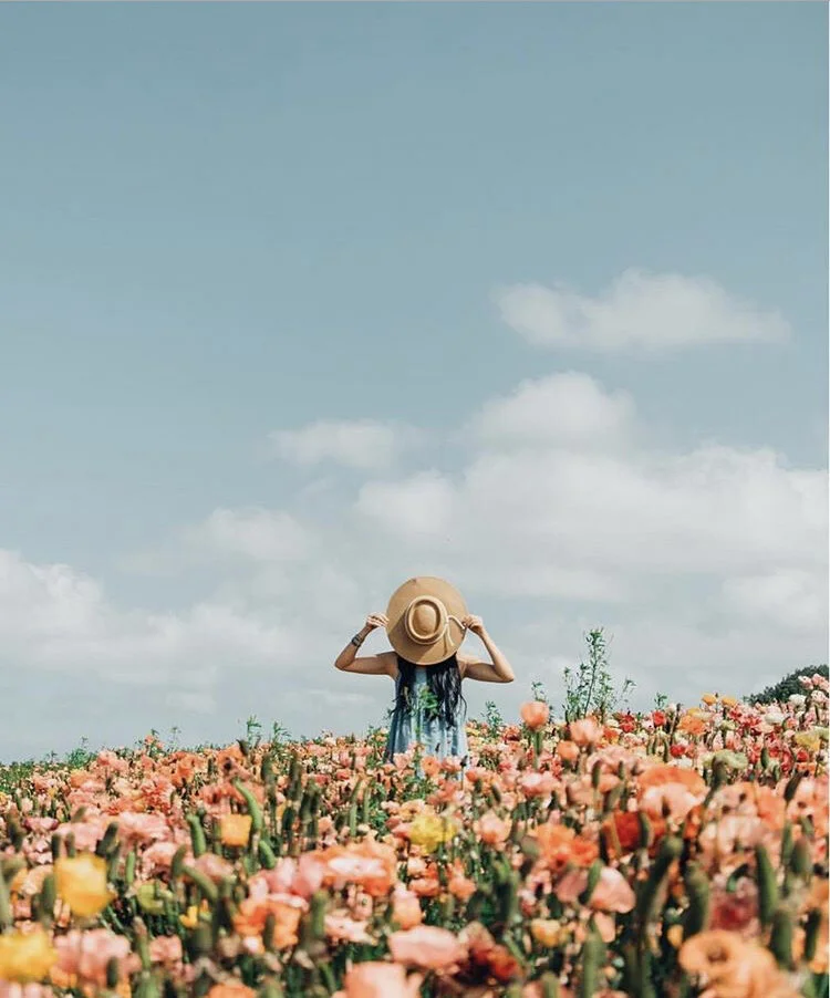 ....Voor de natuur..For nature....